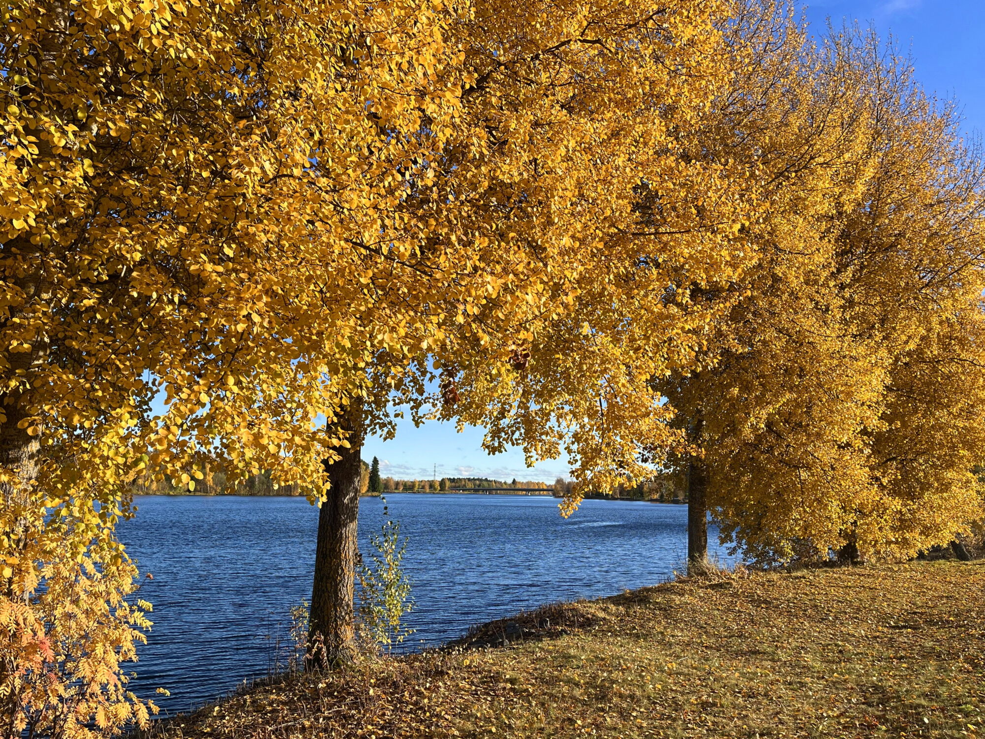 Valokuvaaja: Tuukka Pahtamaa
