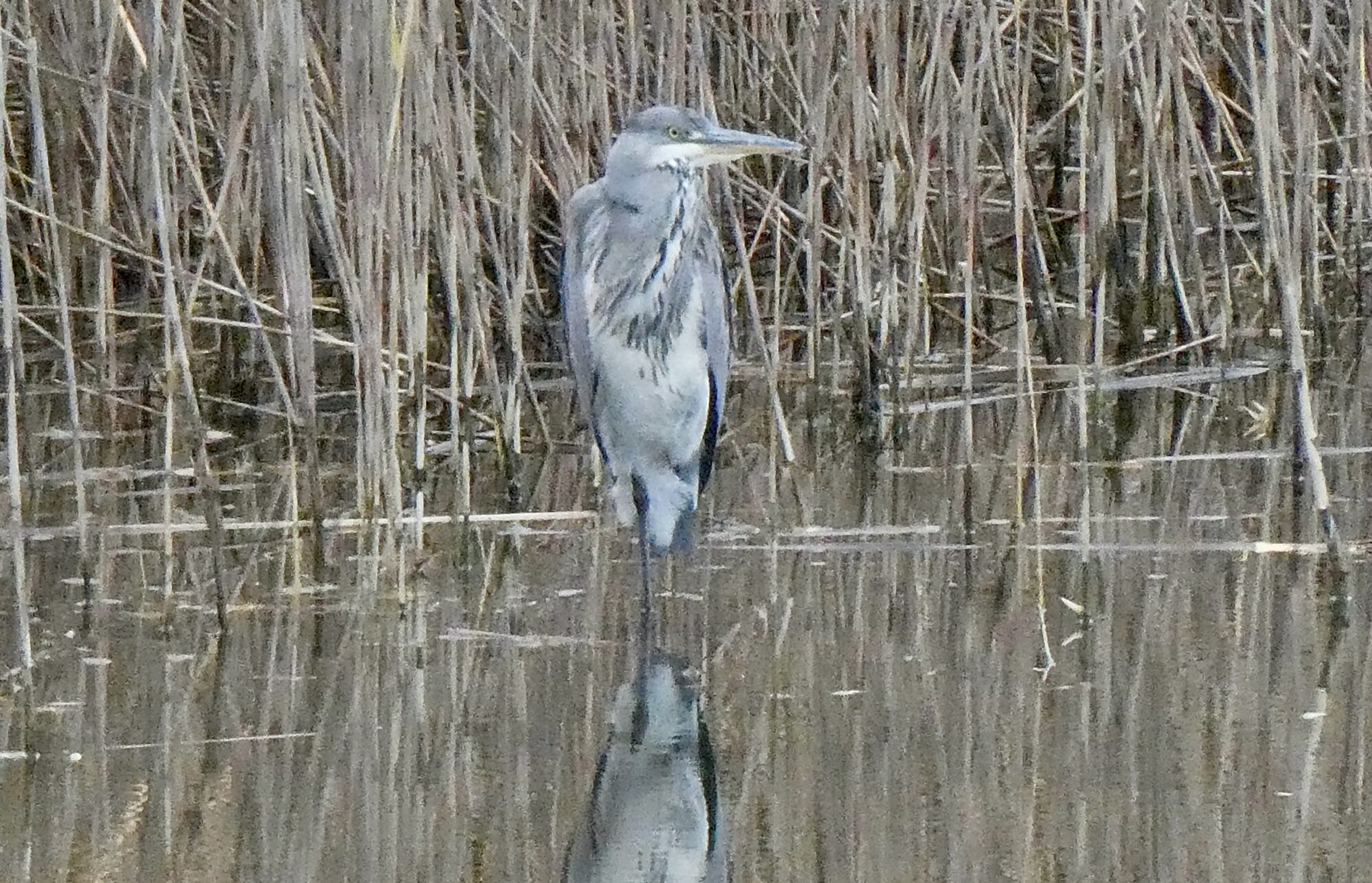 Valokuvaaja: Liisa Niiva-Korpela