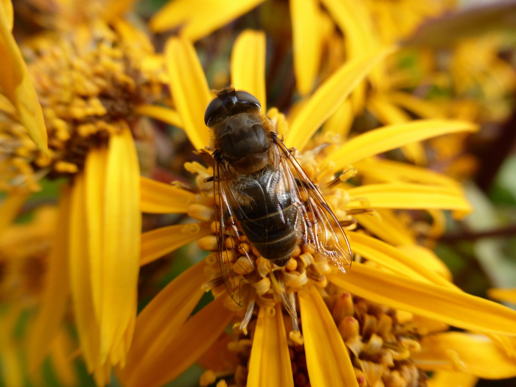 Valokuvaaja: Toni Asikainen