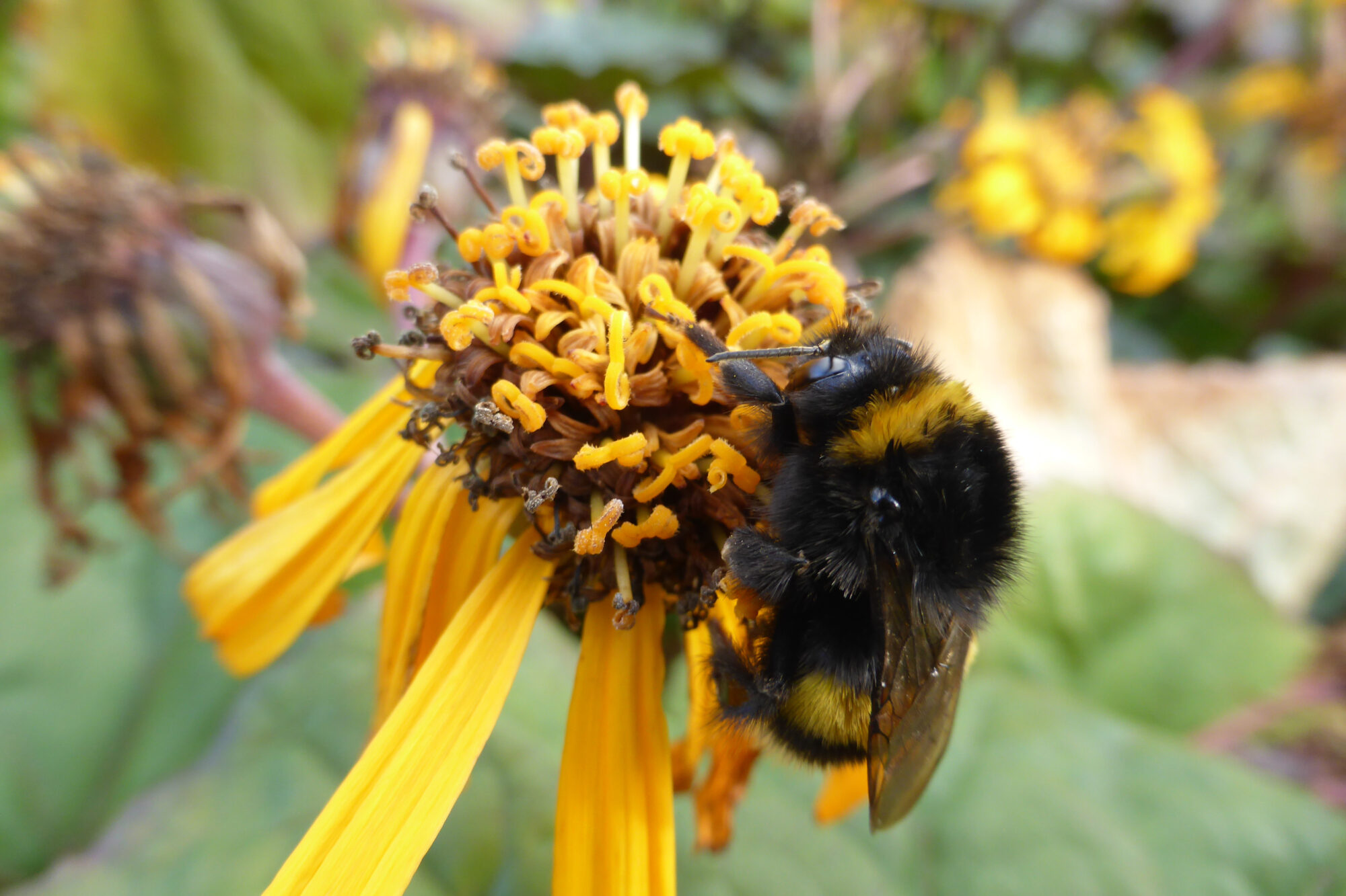 Valokuvaaja: Toni Asikainen