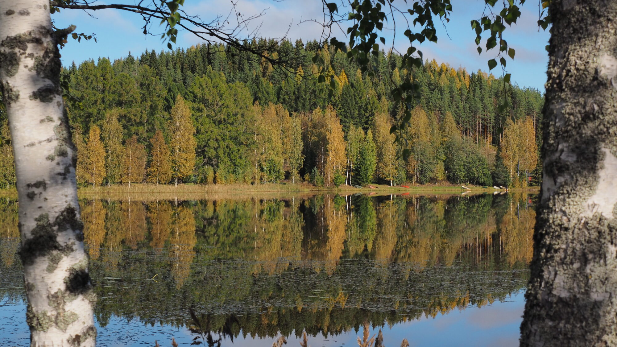 Valokuvaaja: Martti Valtonen