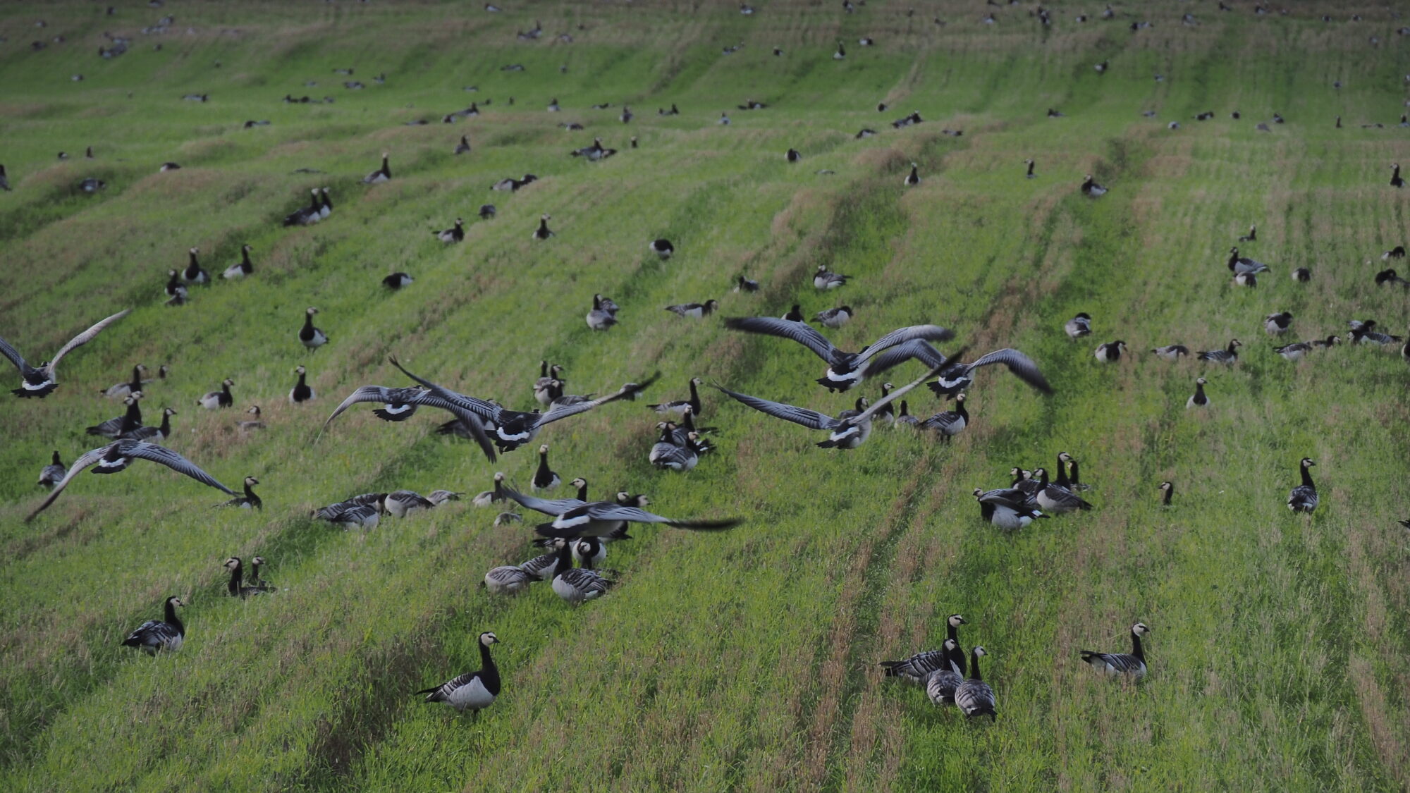 Valokuvaaja: Martti Valtonen