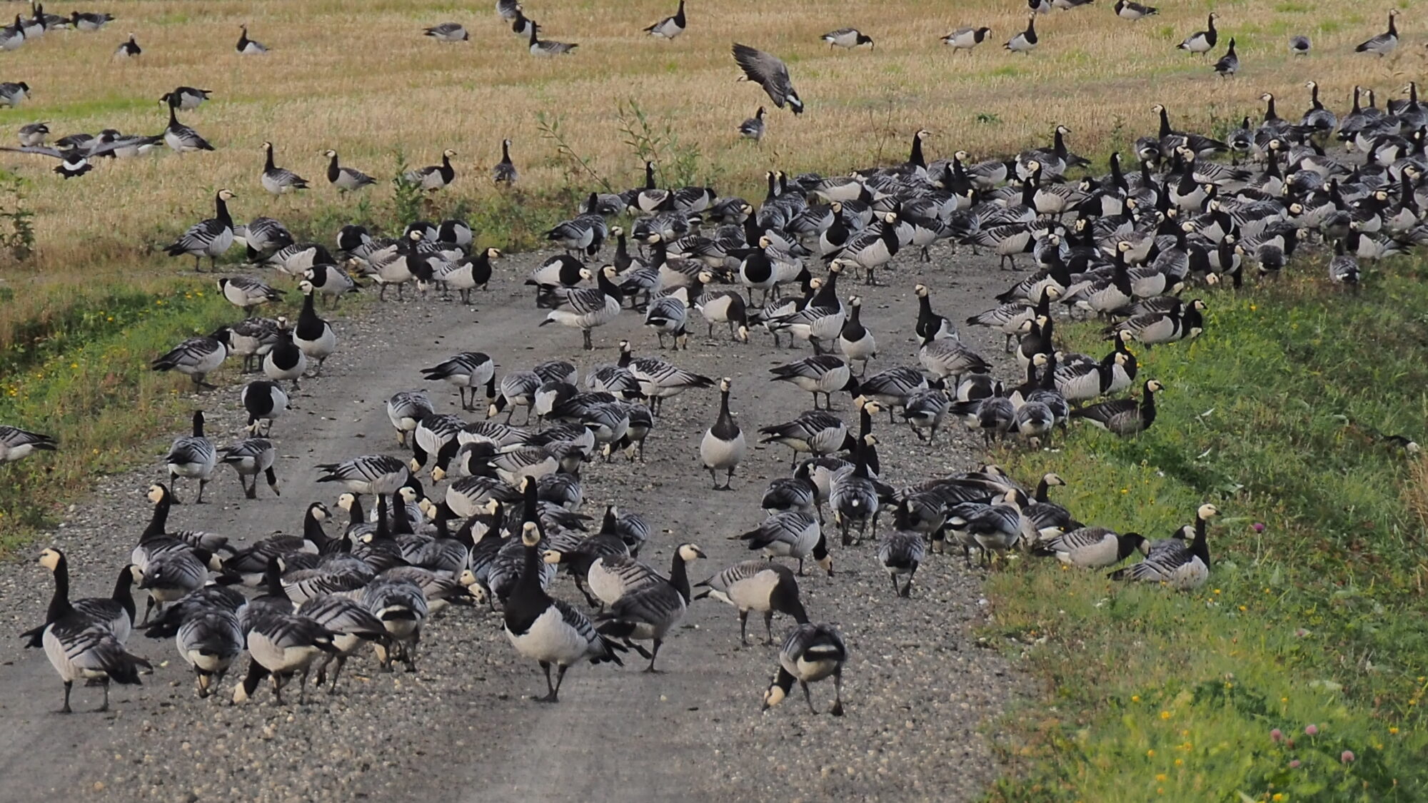 Valokuvaaja: Martti Valtonen