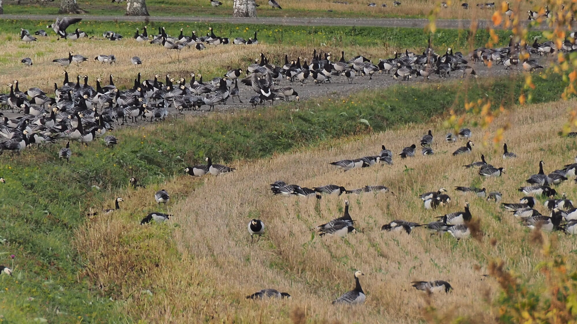 Valokuvaaja: Martti Valtonen