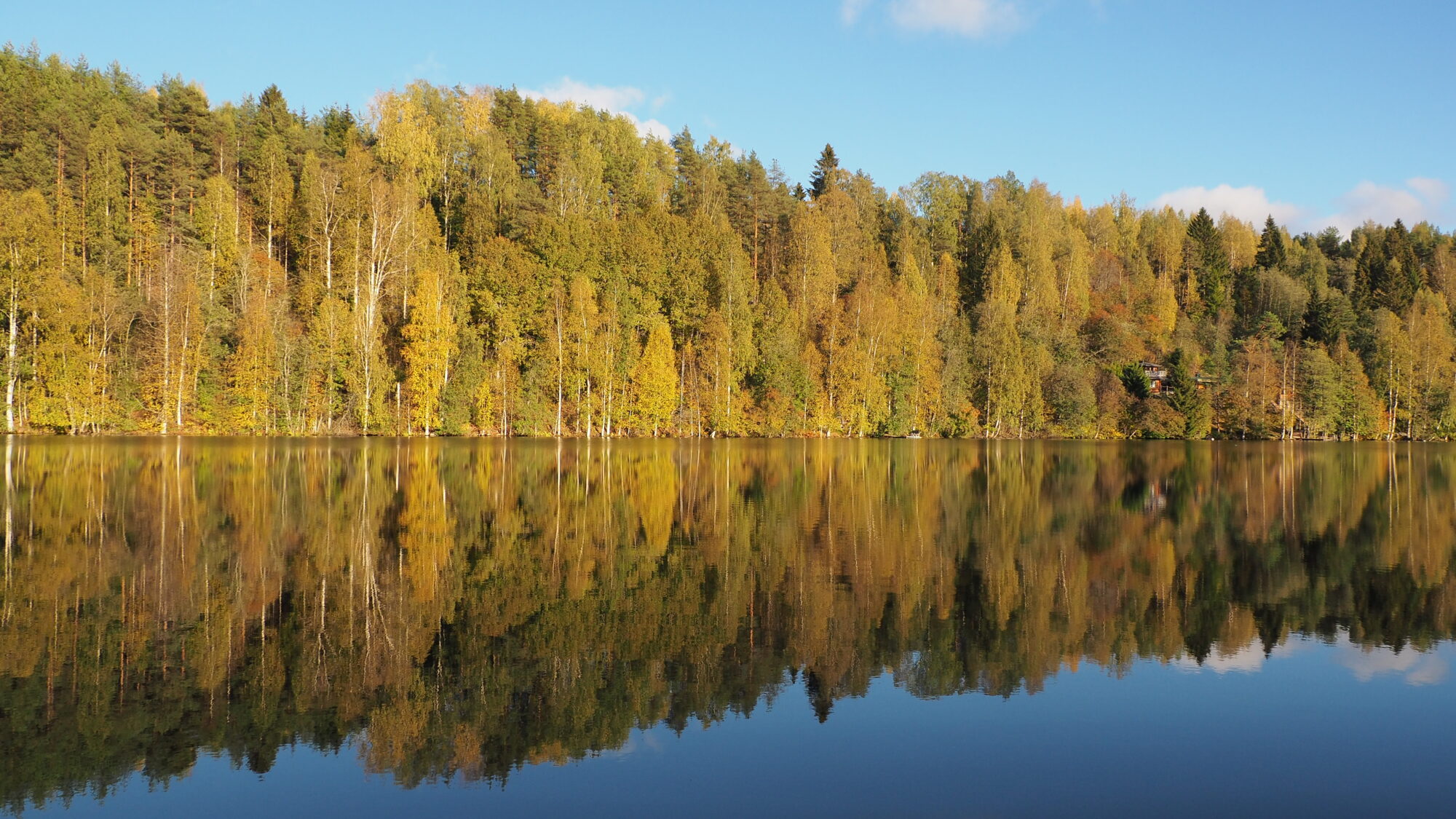 Valokuvaaja: Martti Valtonen