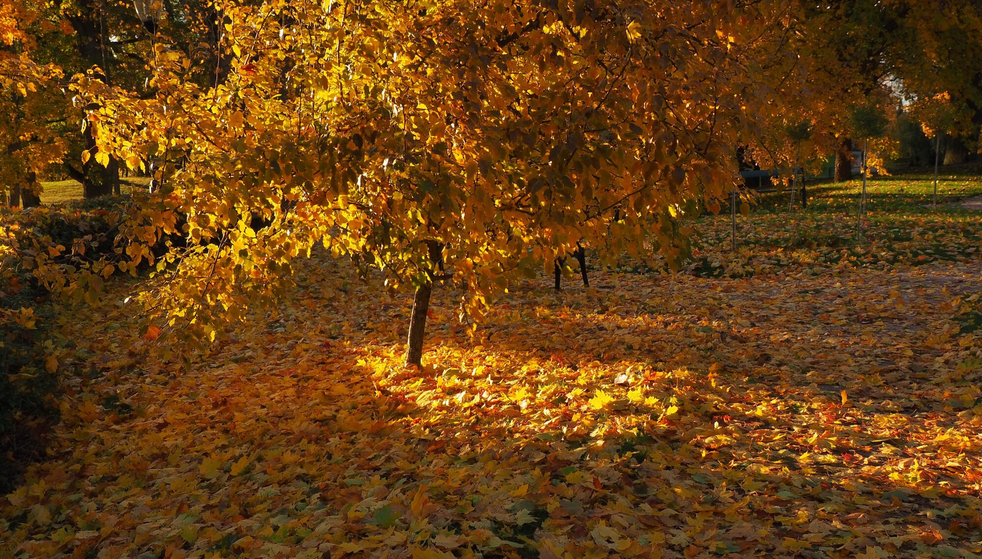 Valokuvaaja: Martti Valtonen