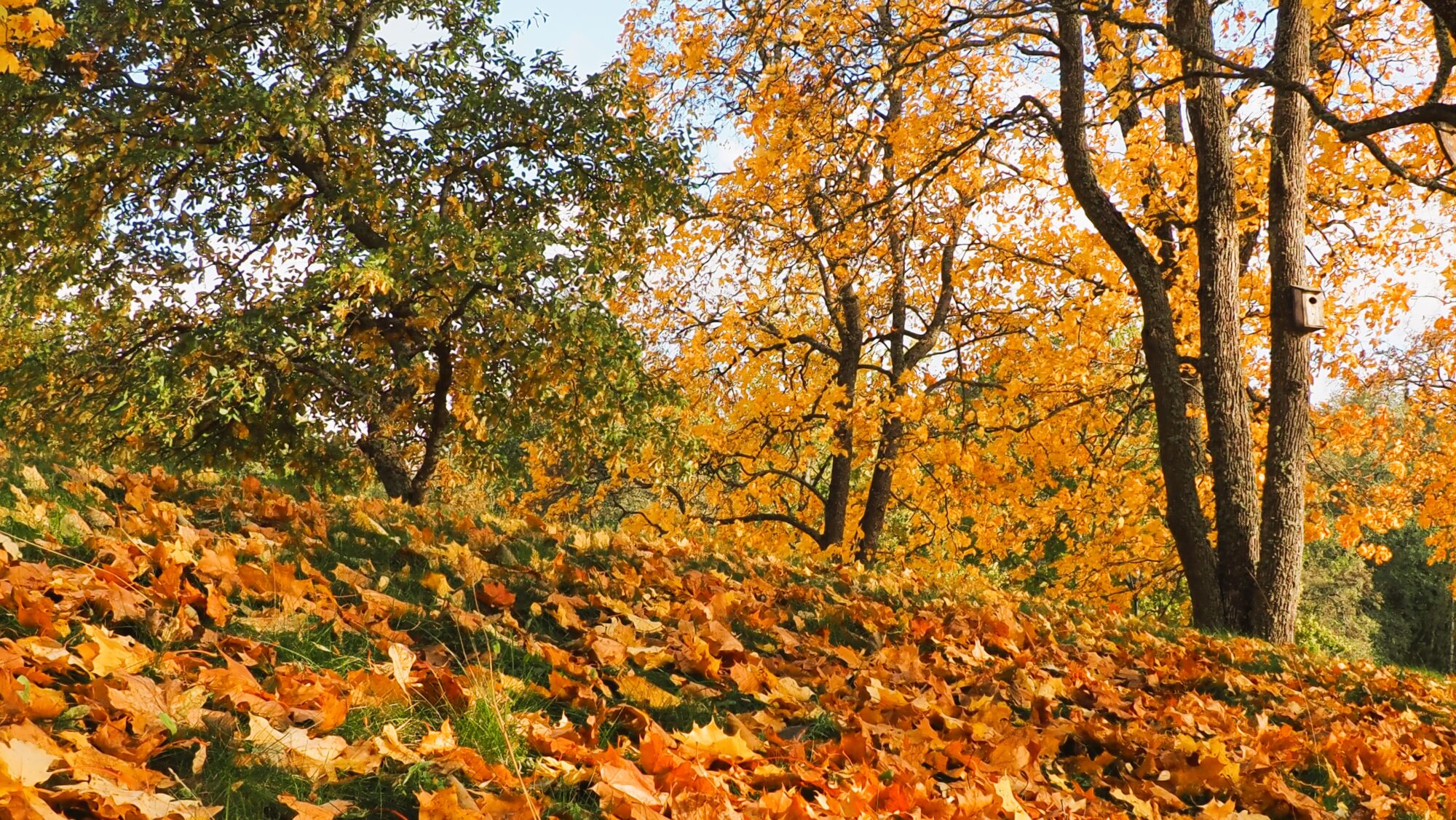 Valokuvaaja: Arja Valtonen