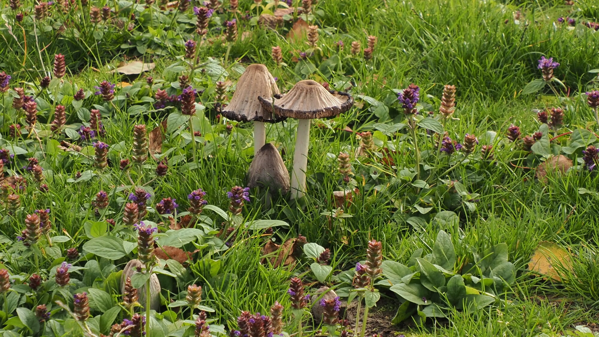 Valokuvaaja: Arja Valtonen