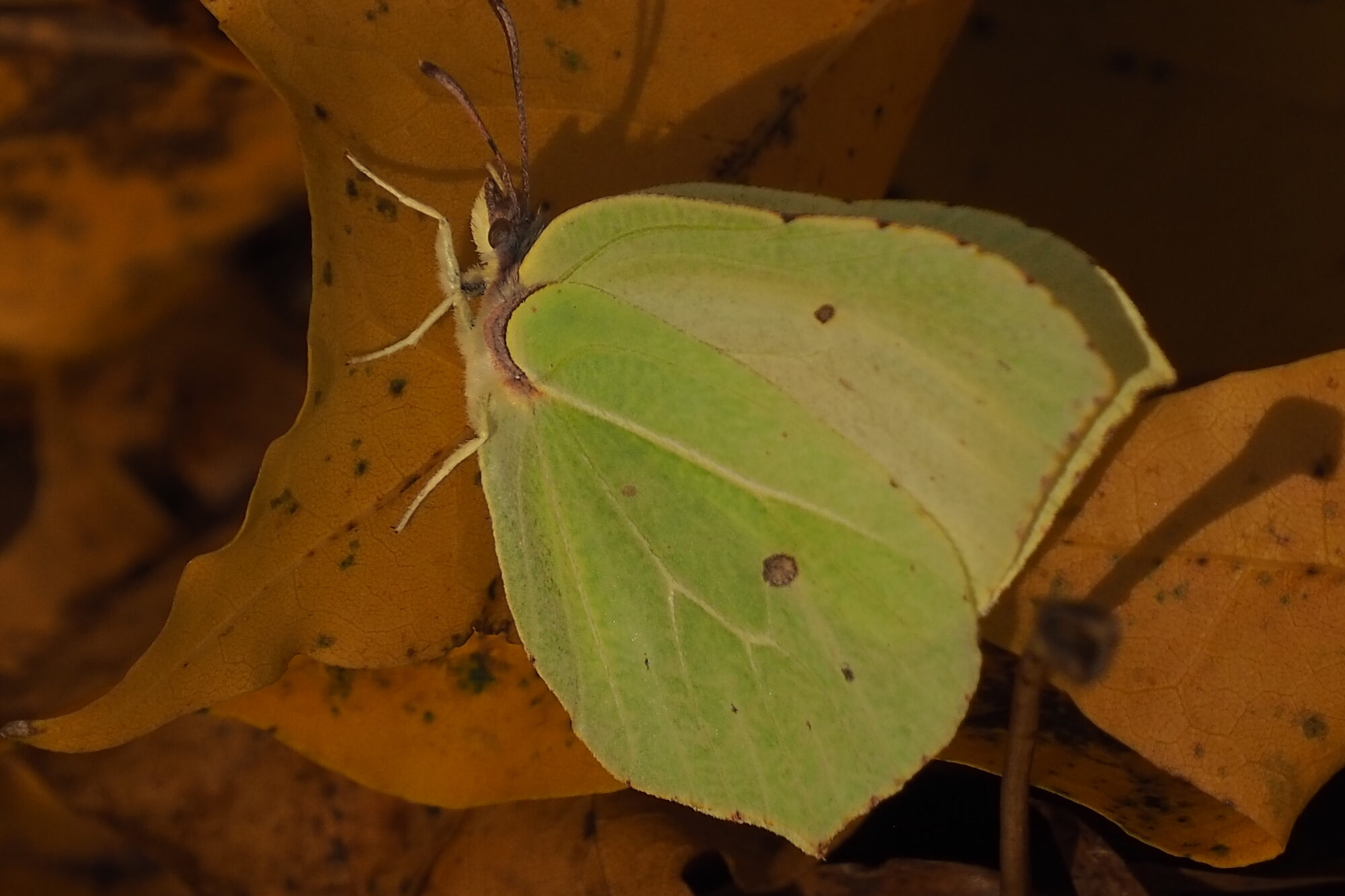 Valokuvaaja: Martti Valtonen