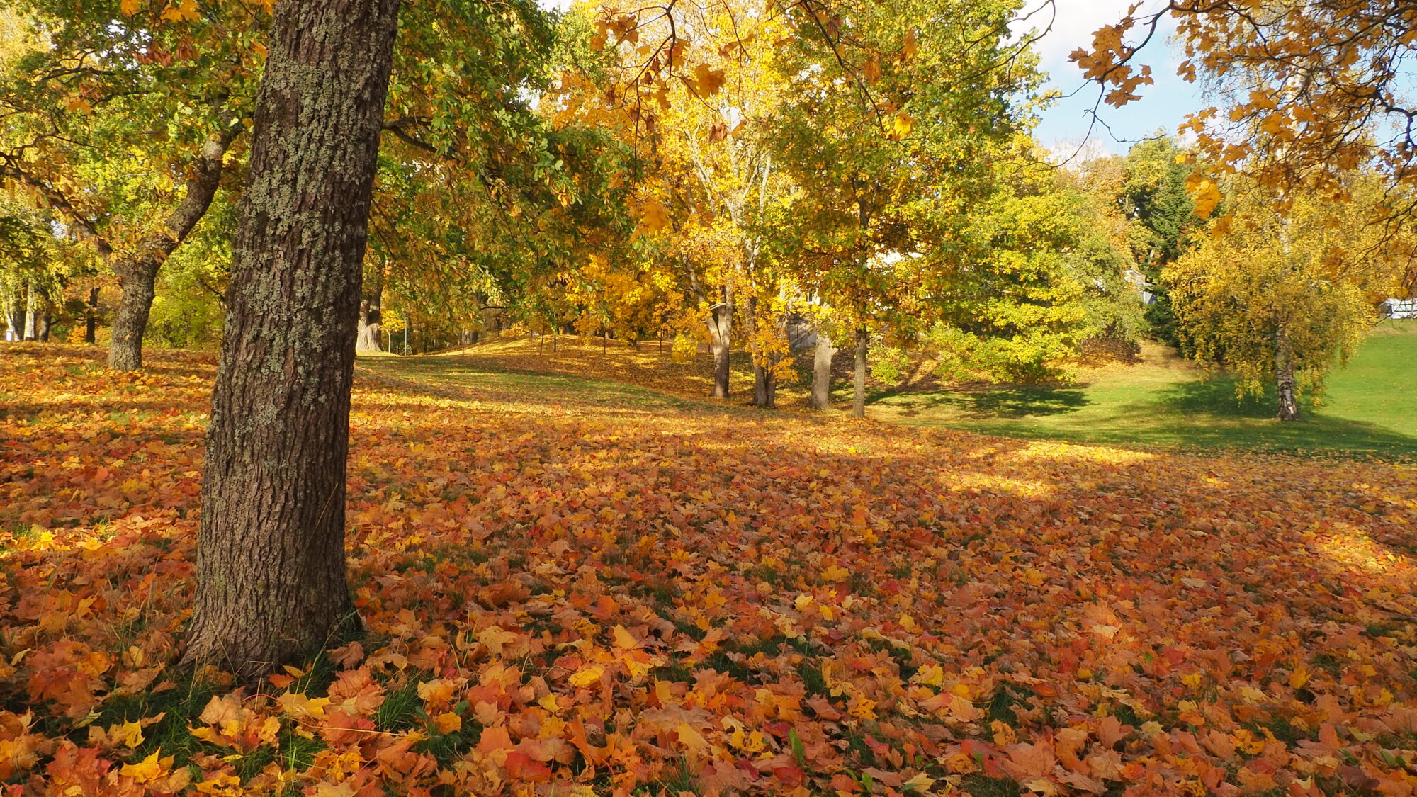 Valokuvaaja: Martti Valtonen