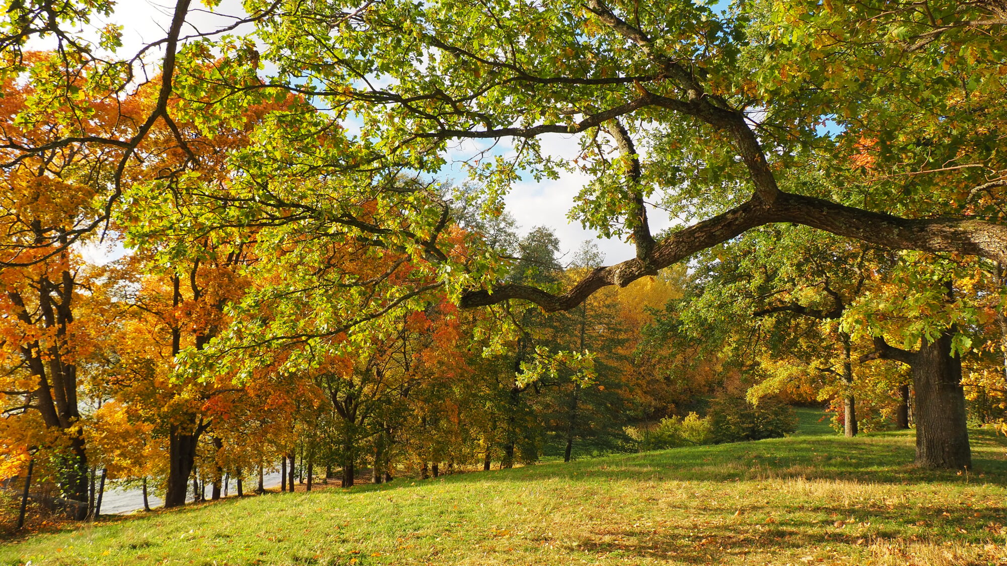 Valokuvaaja: Martti Valtonen