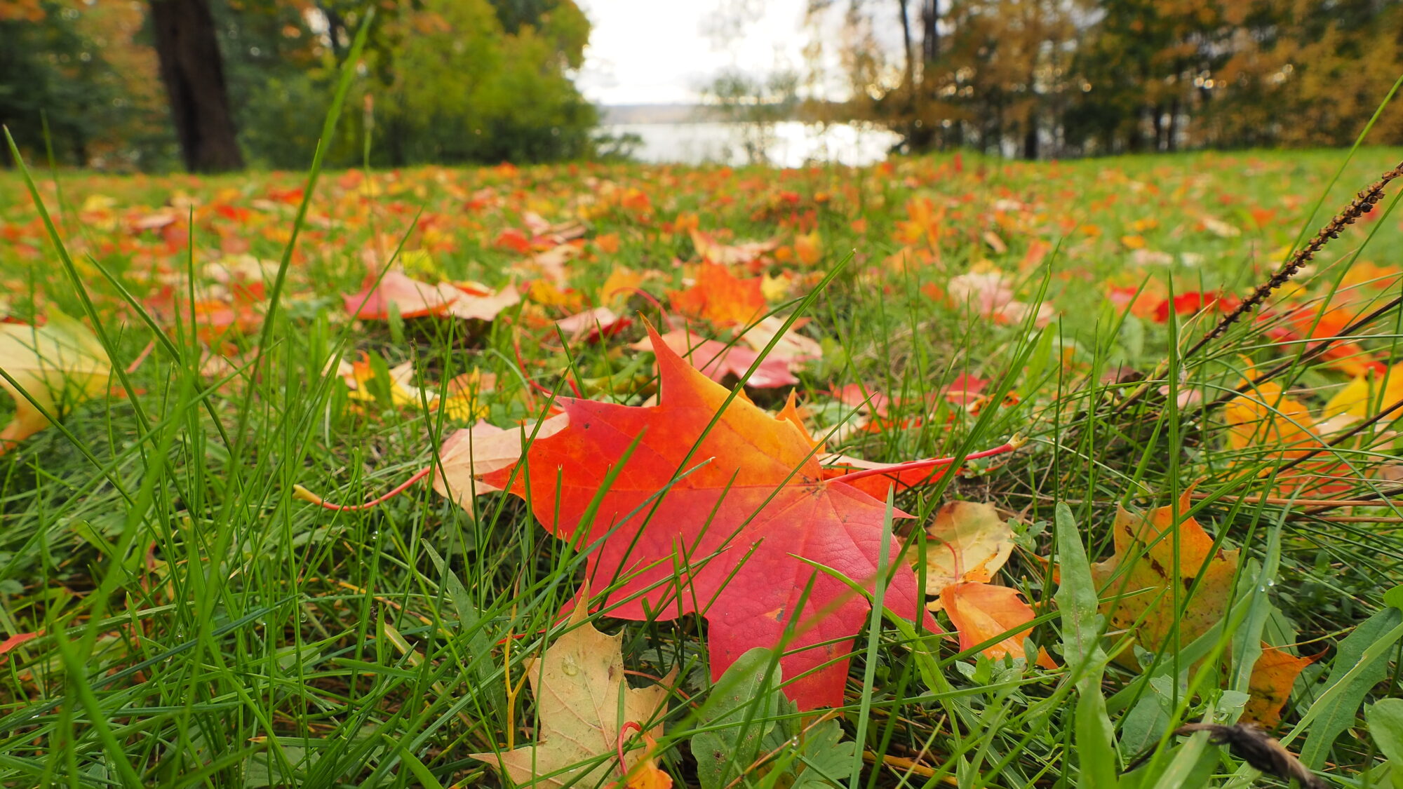Valokuvaaja: Martti Valtonen