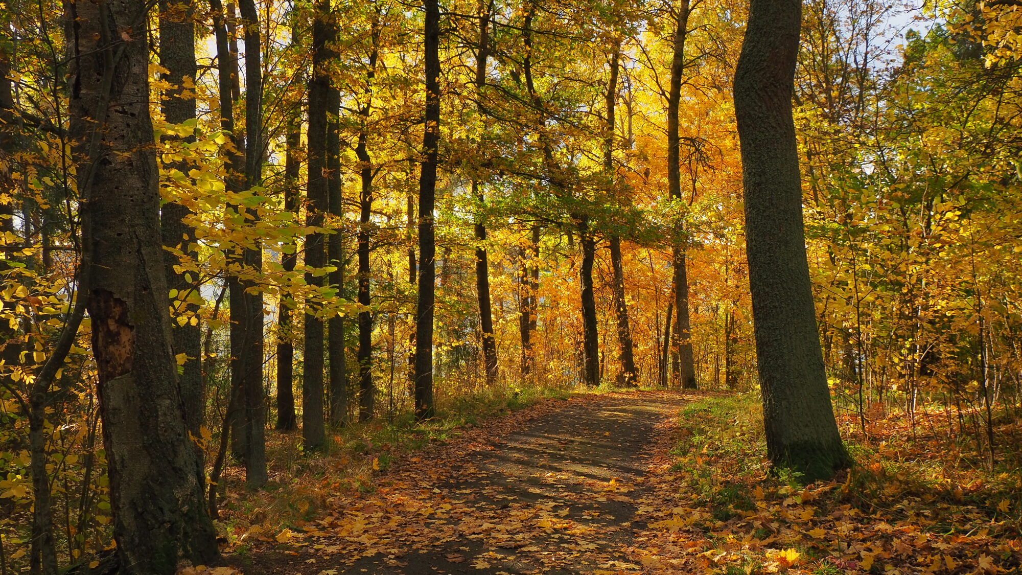 Valokuvaaja: Martti Valtonen