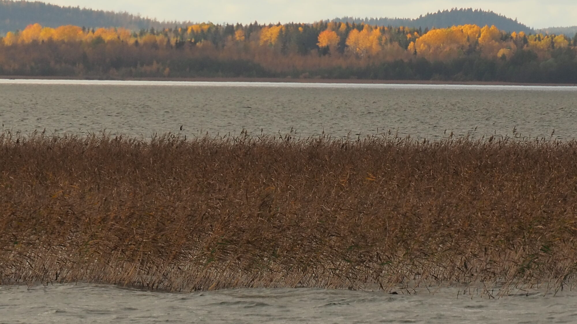 Valokuvaaja: Martti Valtonen
