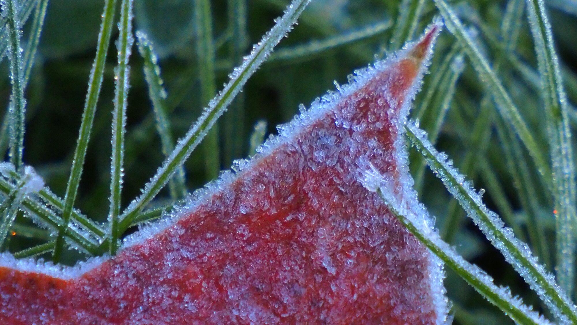 Valokuvaaja: Arja Valtonen