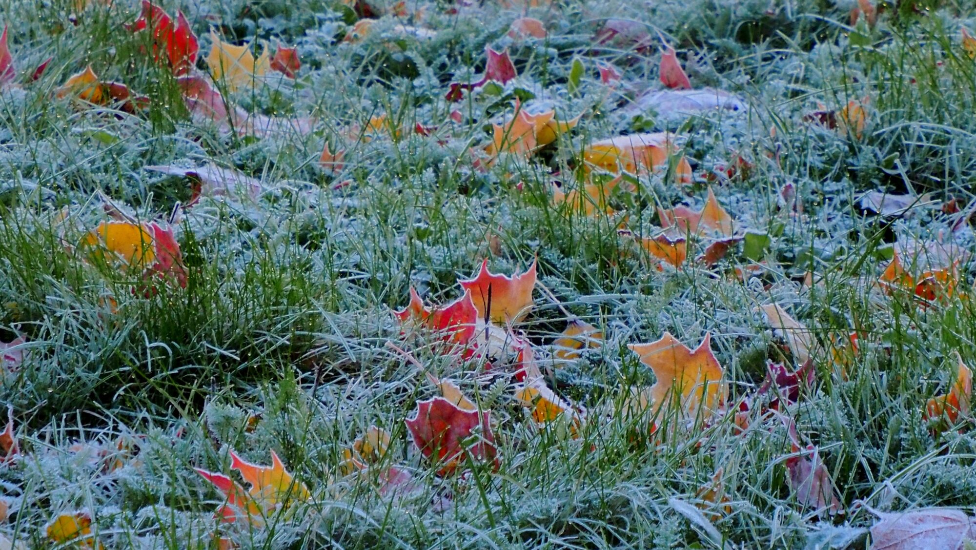 Valokuvaaja: Arja Valtonen