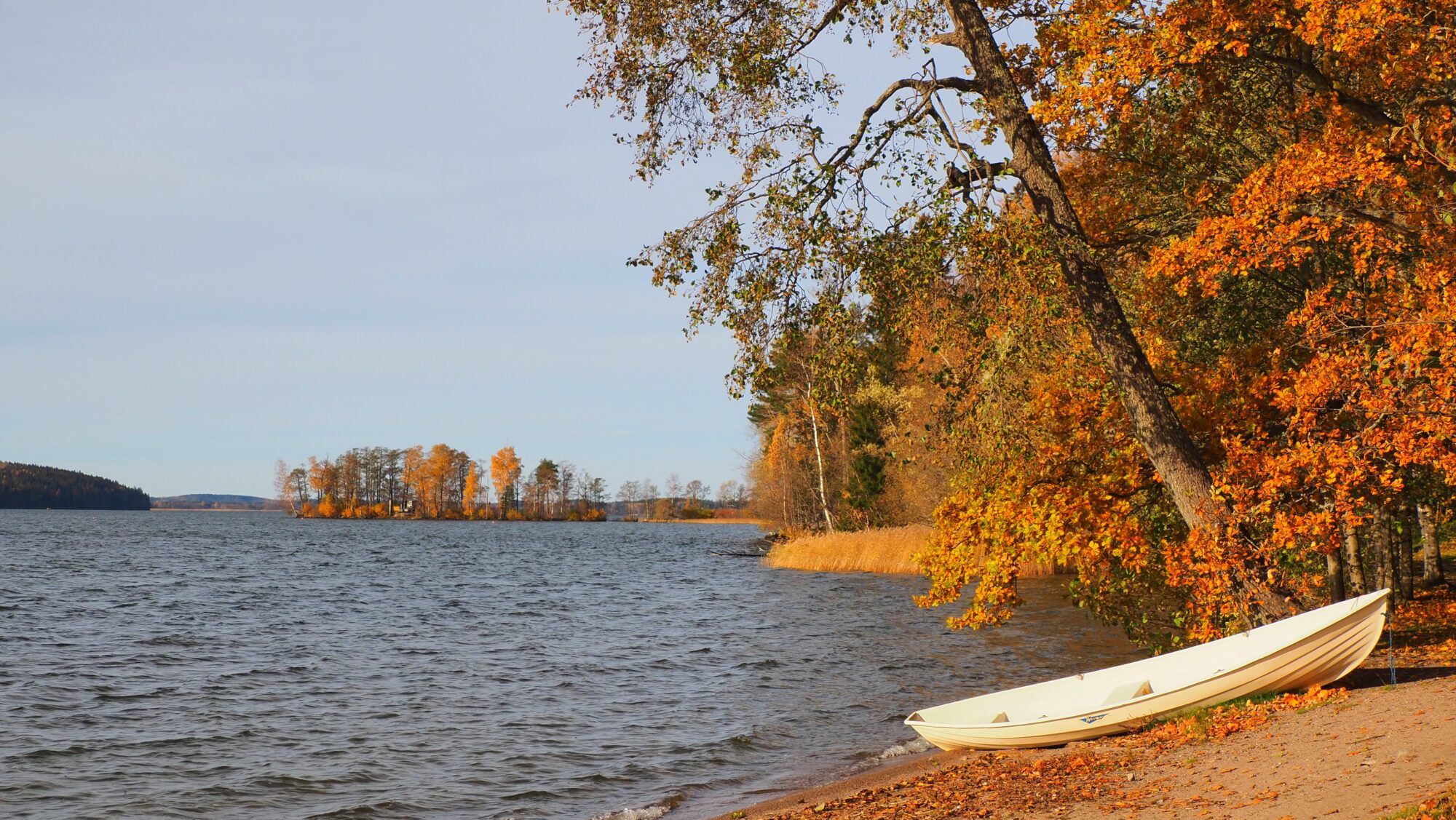 Valokuvaaja: Arja Valtonen