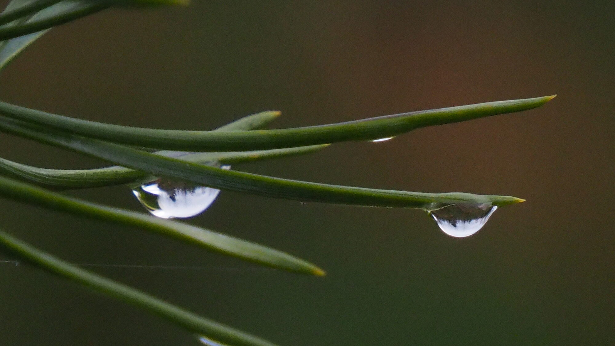 Valokuvaaja: Martti Valtonen