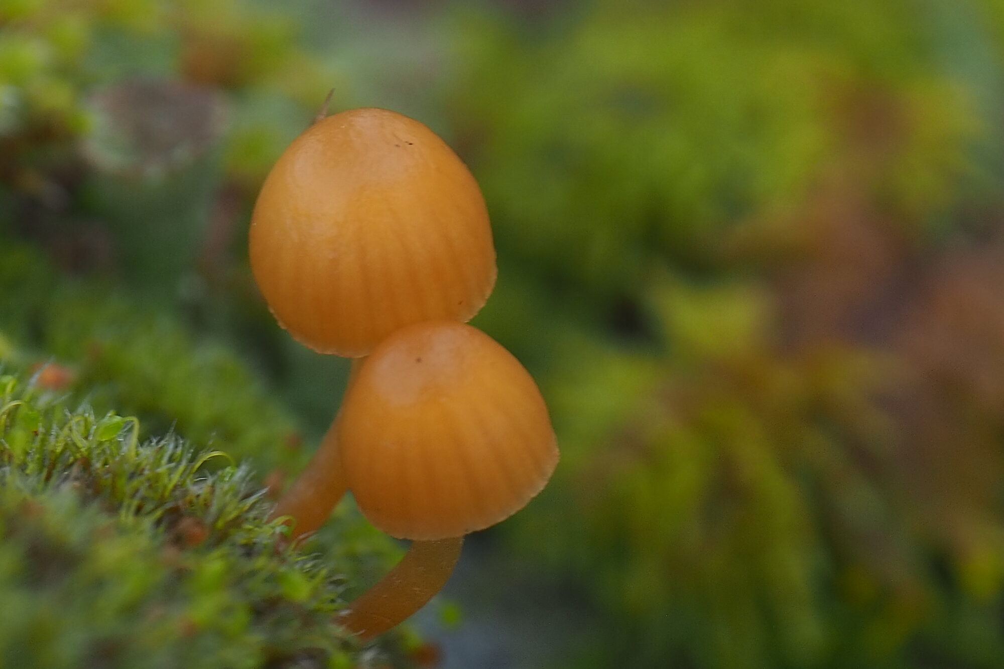 Valokuvaaja: Martti Valtonen