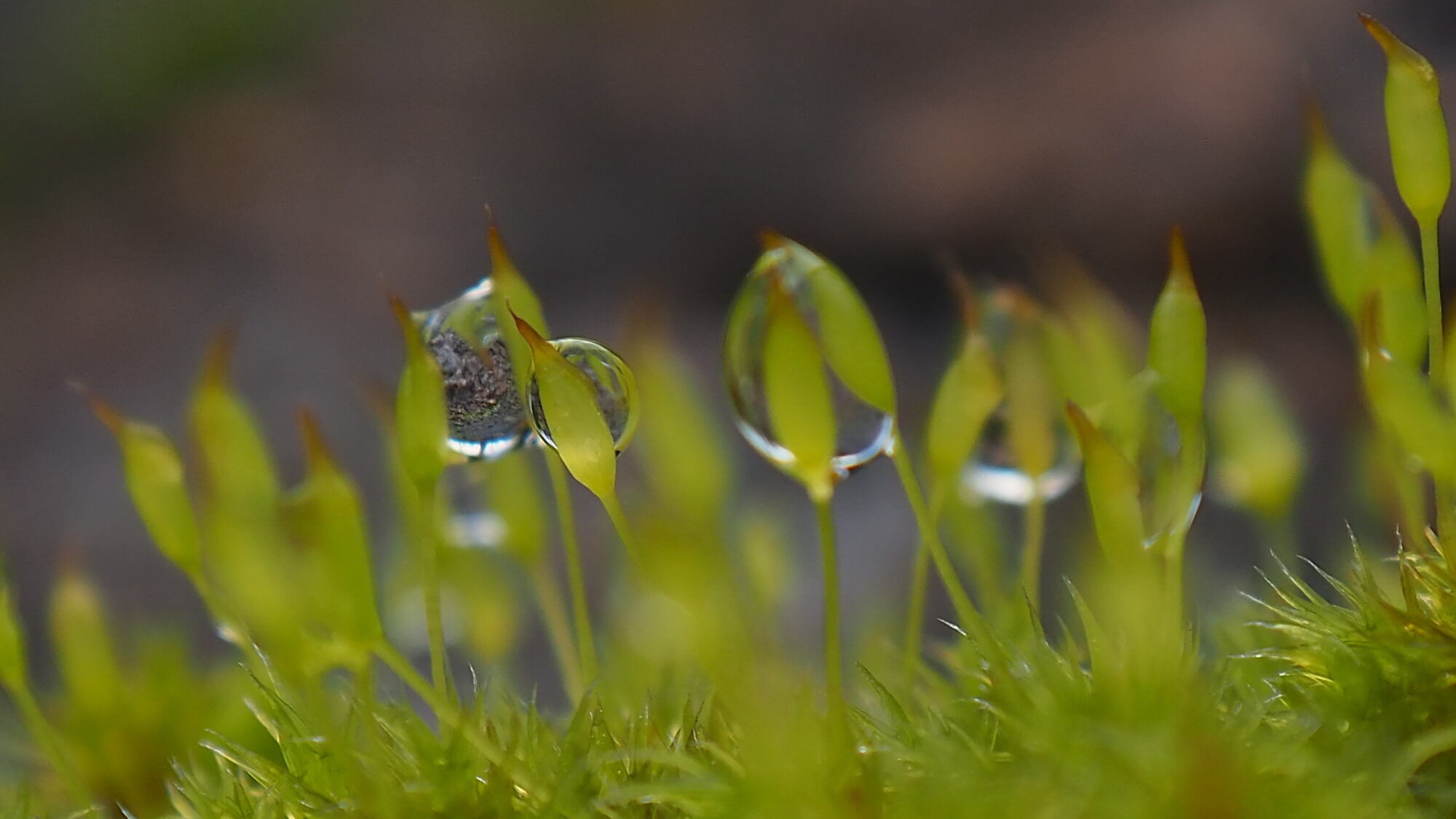 Valokuvaaja: Martti Valtonen