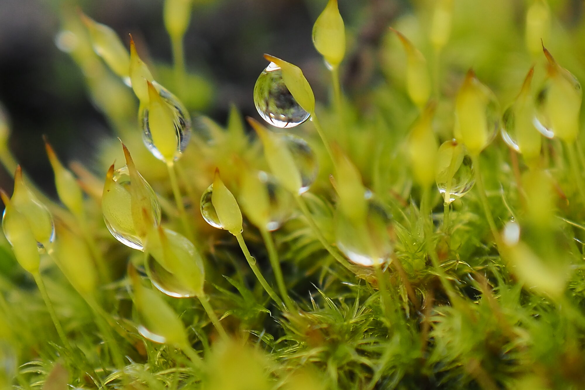 Valokuvaaja: Martti Valtonen