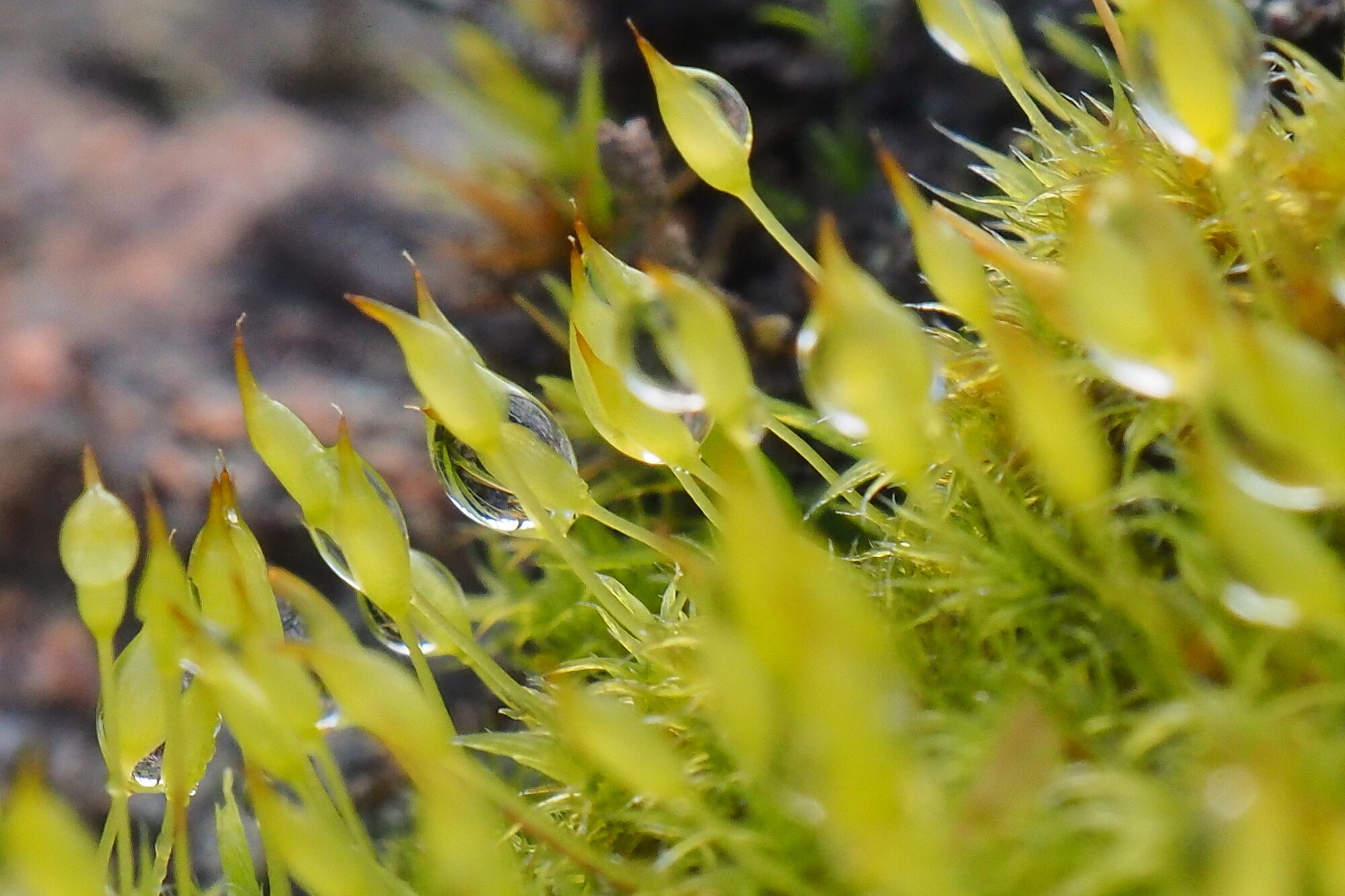 Valokuvaaja: Martti Valtonen