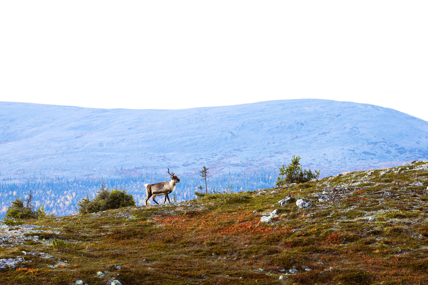 Valokuvaaja: Johanna Lempinen