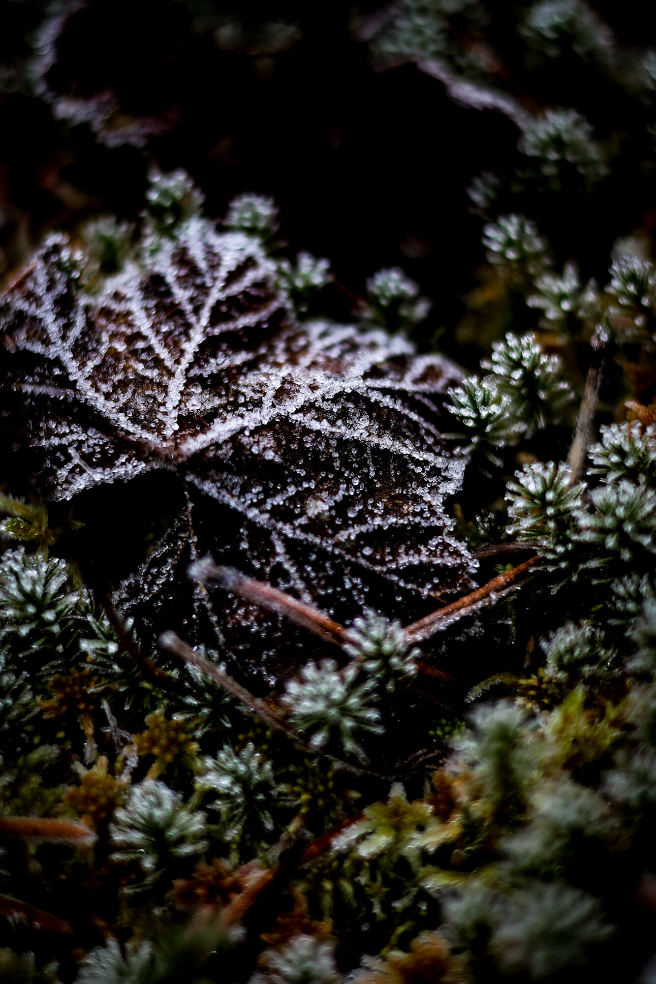 Valokuvaaja: Johanna Lempinen