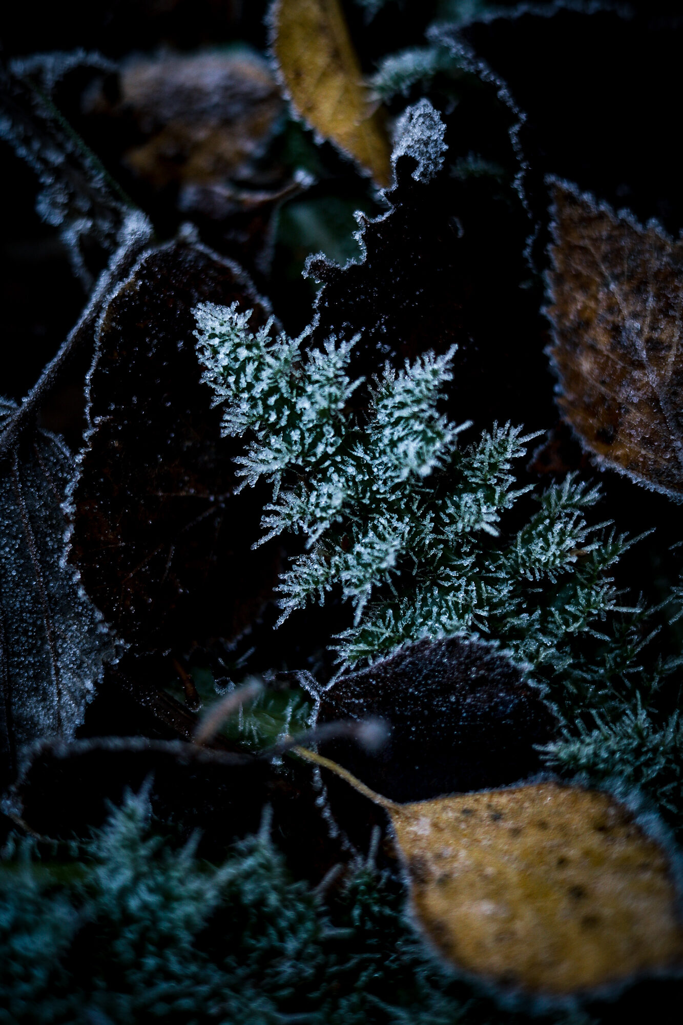 Valokuvaaja: Johanna Lempinen