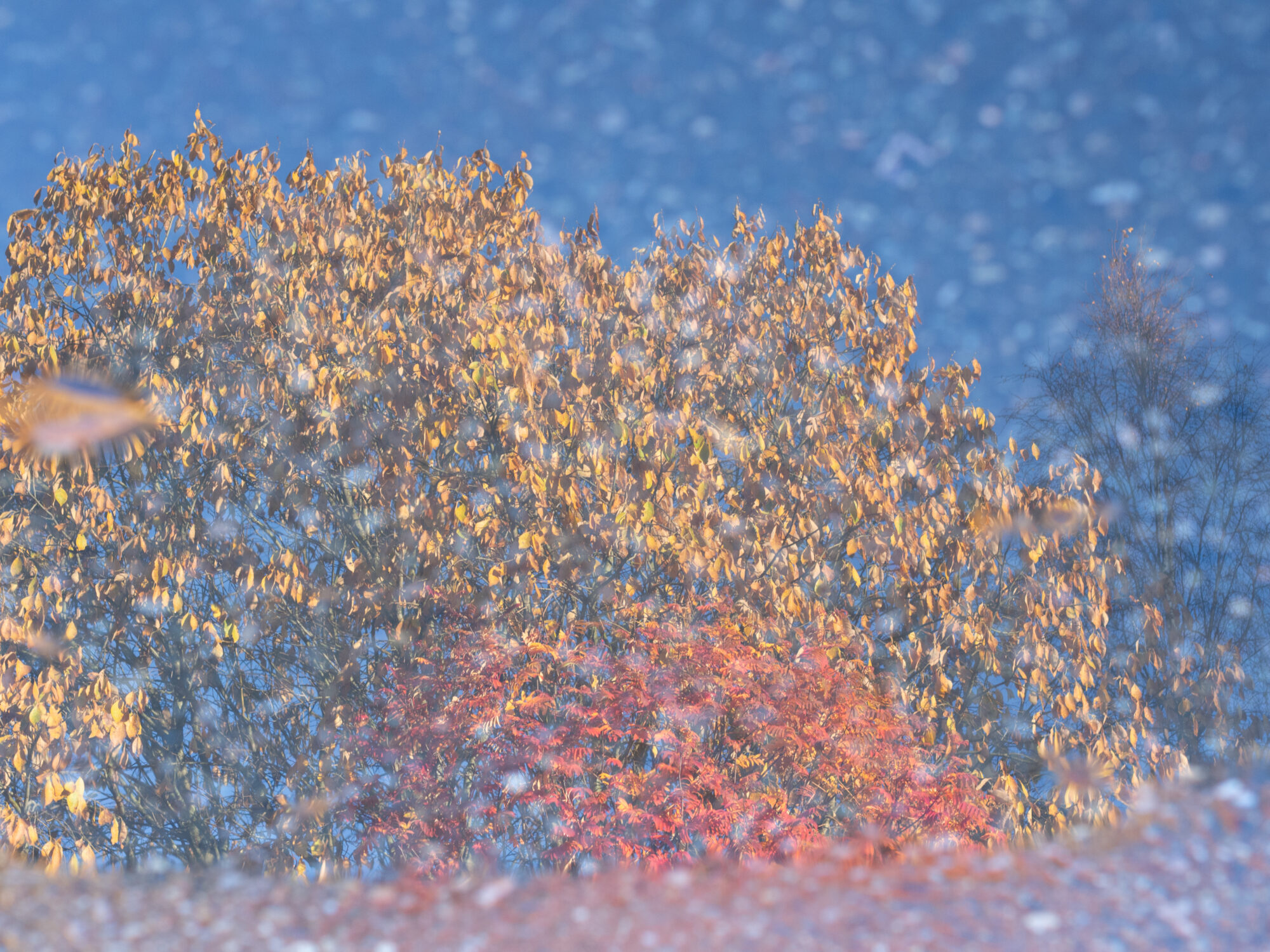 Valokuvaaja: Marja Nevalainen