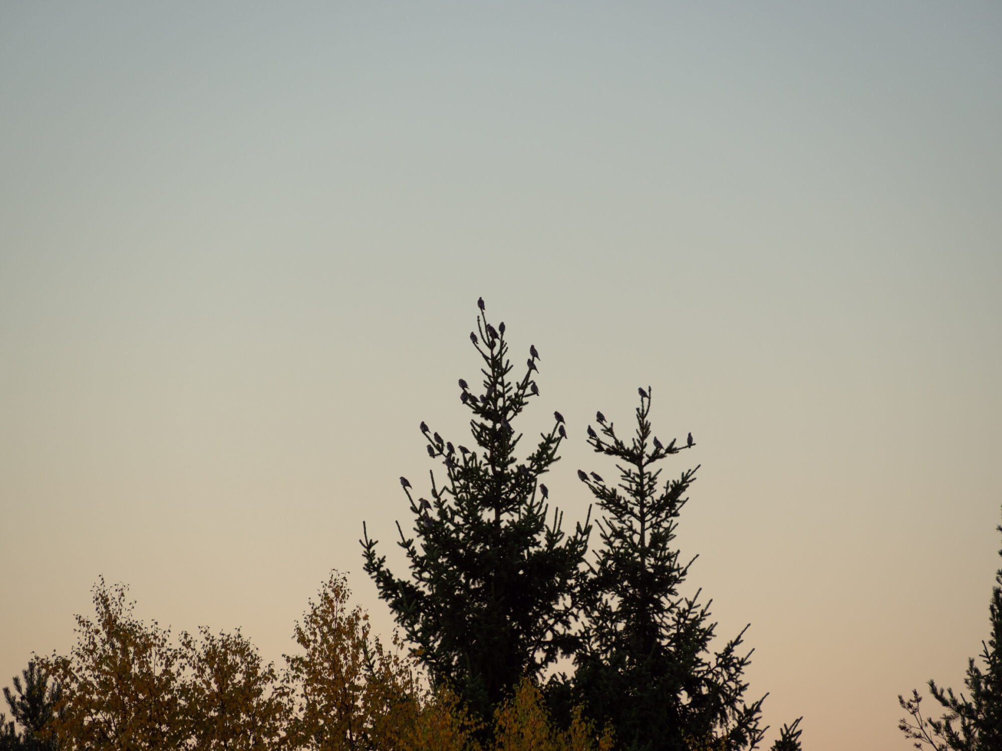 Valokuvaaja: Marja Nevalainen