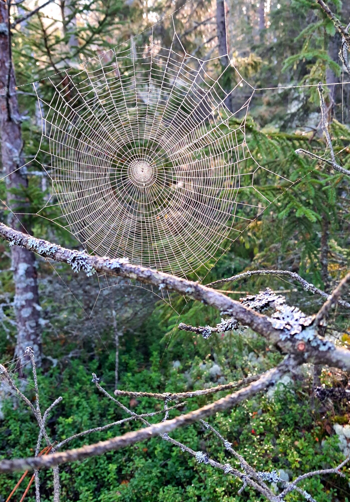 Valokuvaaja: Ari Lempiäinen