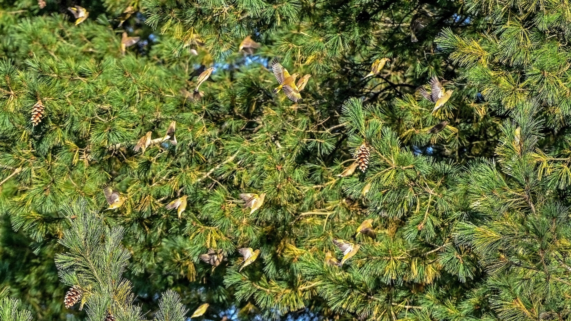 Valokuvaaja: Esko Pihl