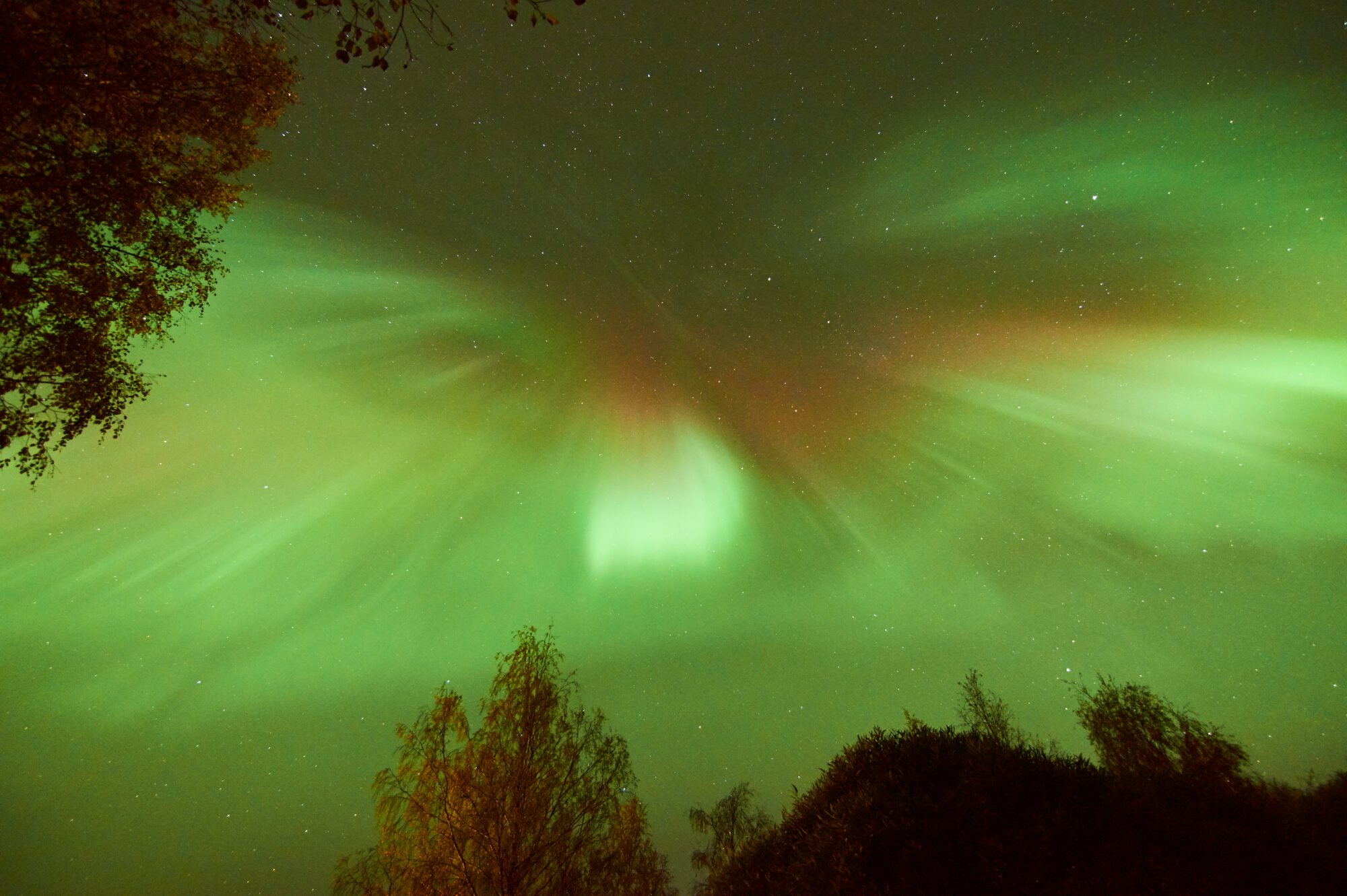 Valokuvaaja: Tarja Kouvo