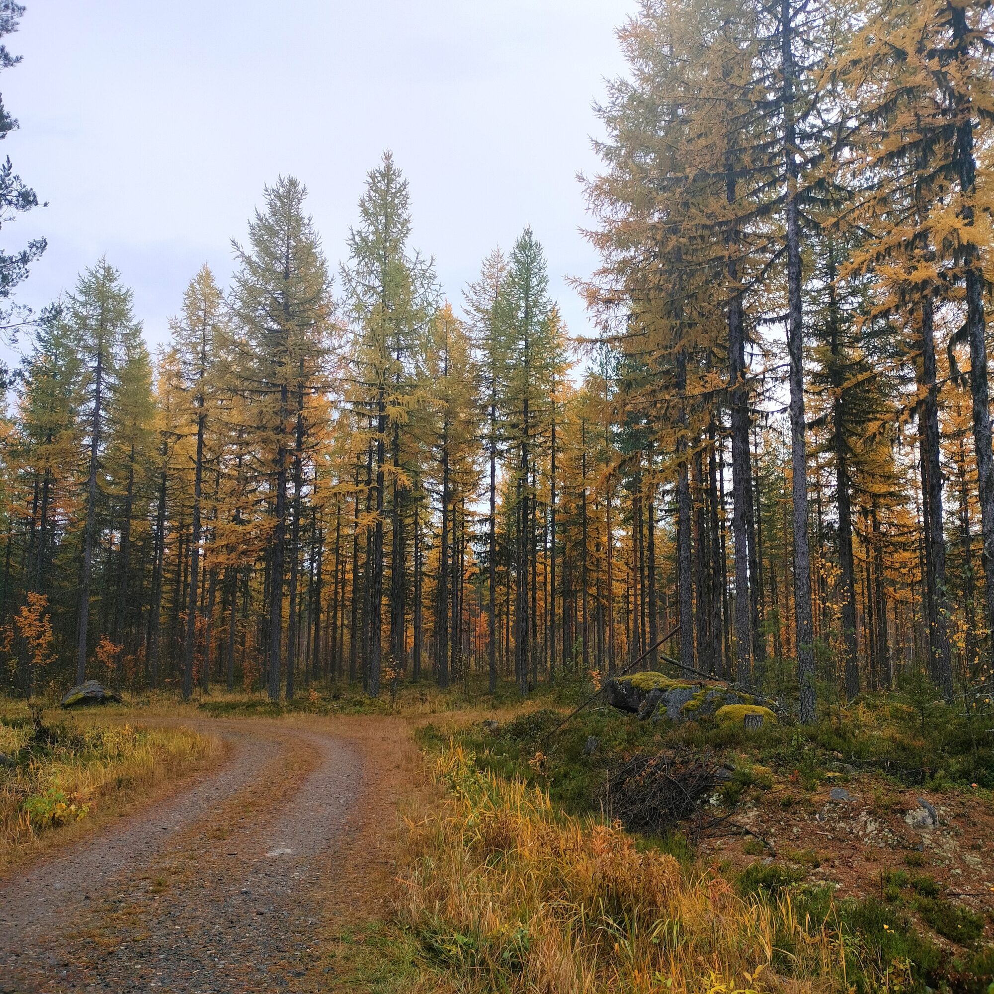 Valokuvaaja: Elina Kovanen