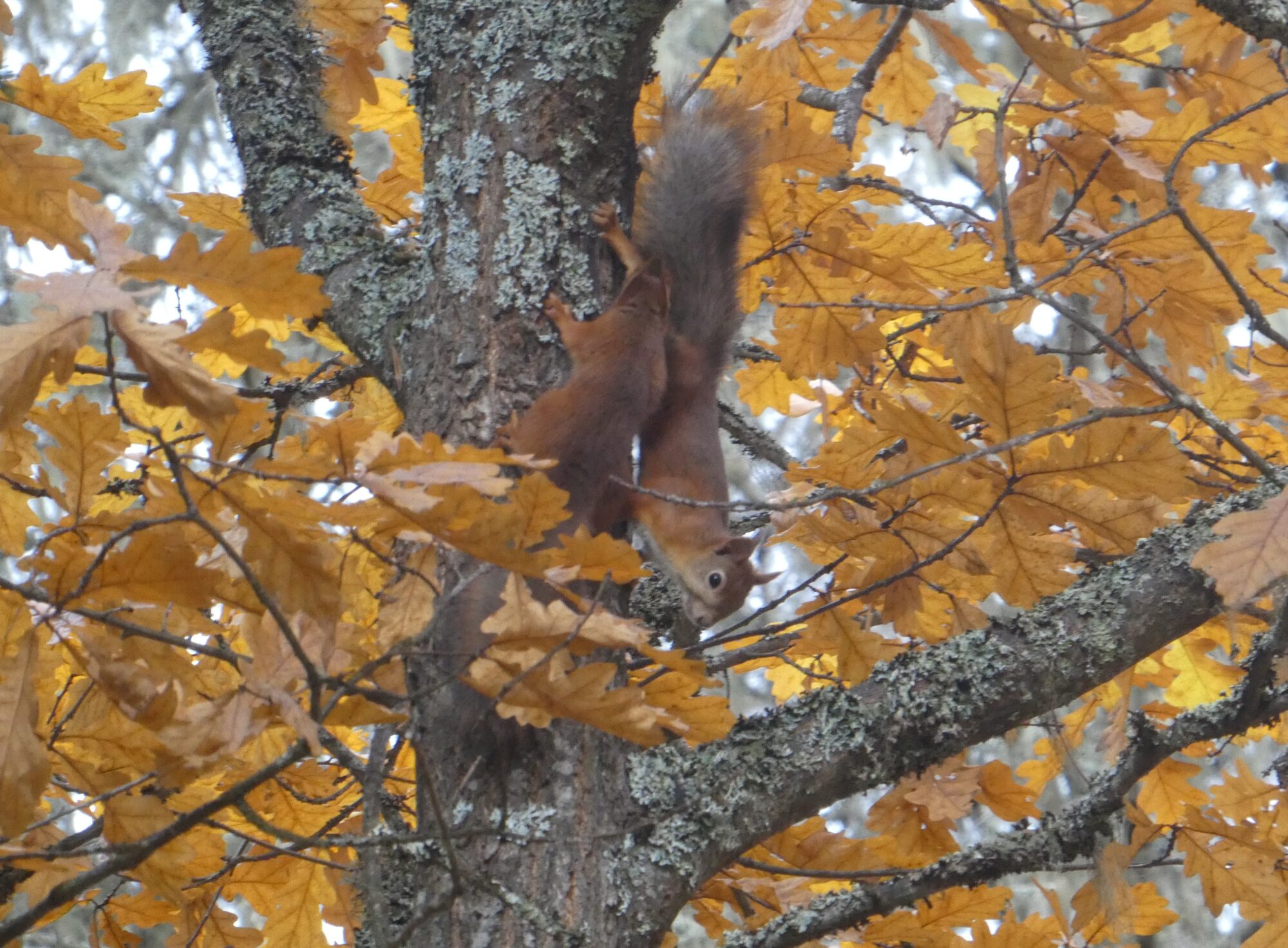 Valokuvaaja: Anja Mustamaa