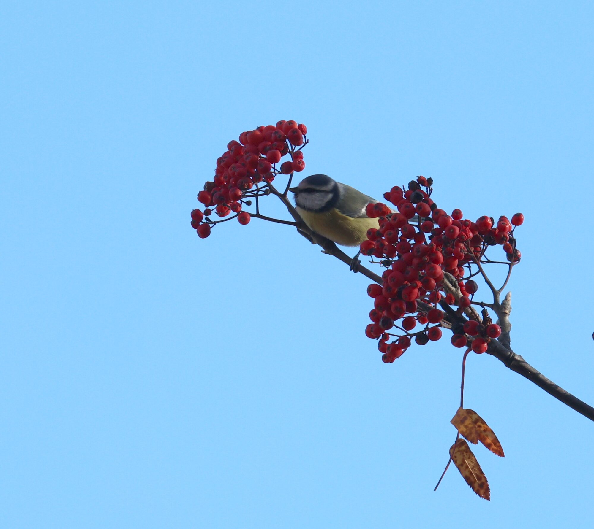 Valokuvaaja: Jaana Saarelainen