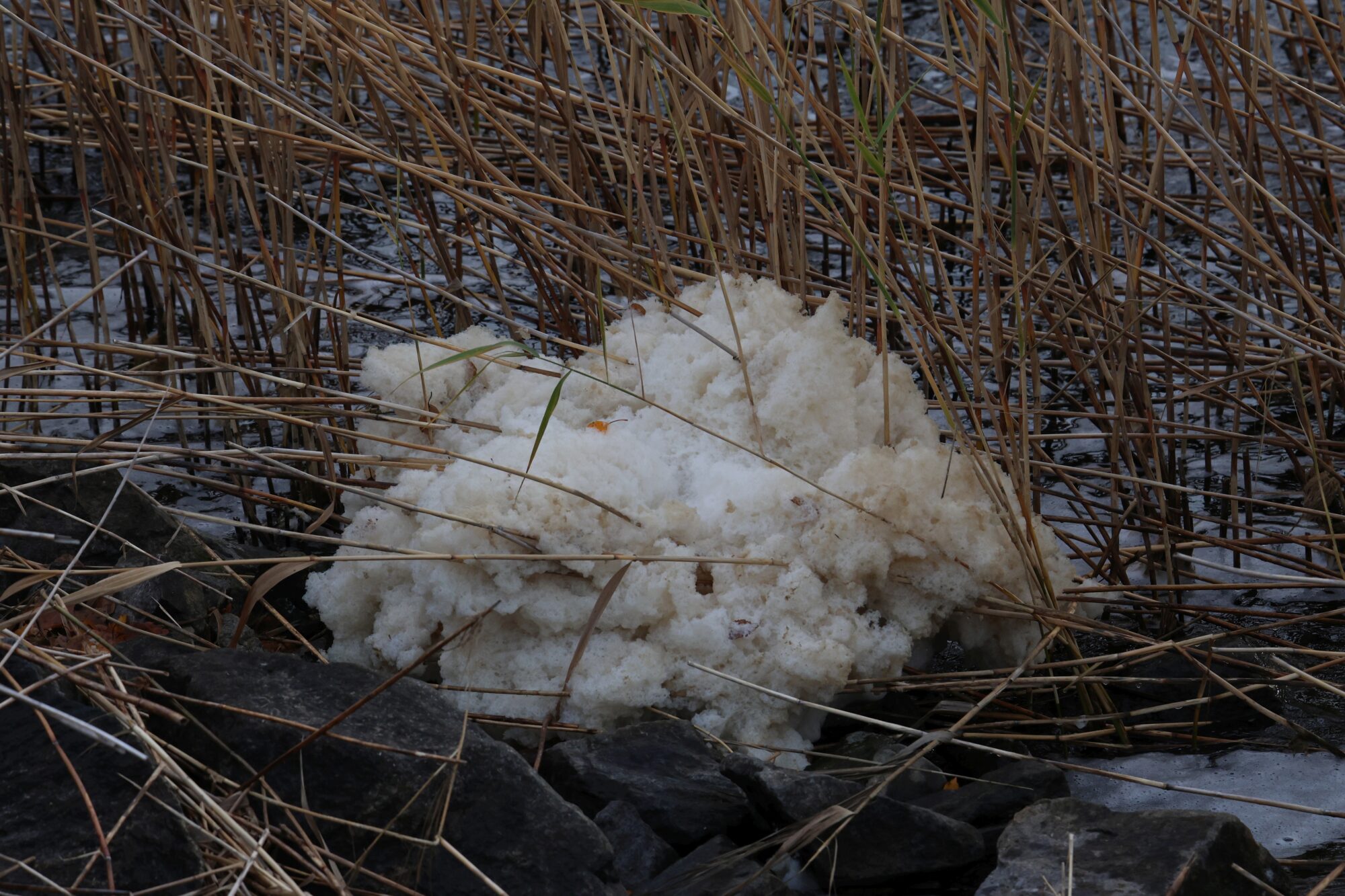 Valokuvaaja: Jaana Saarelainen