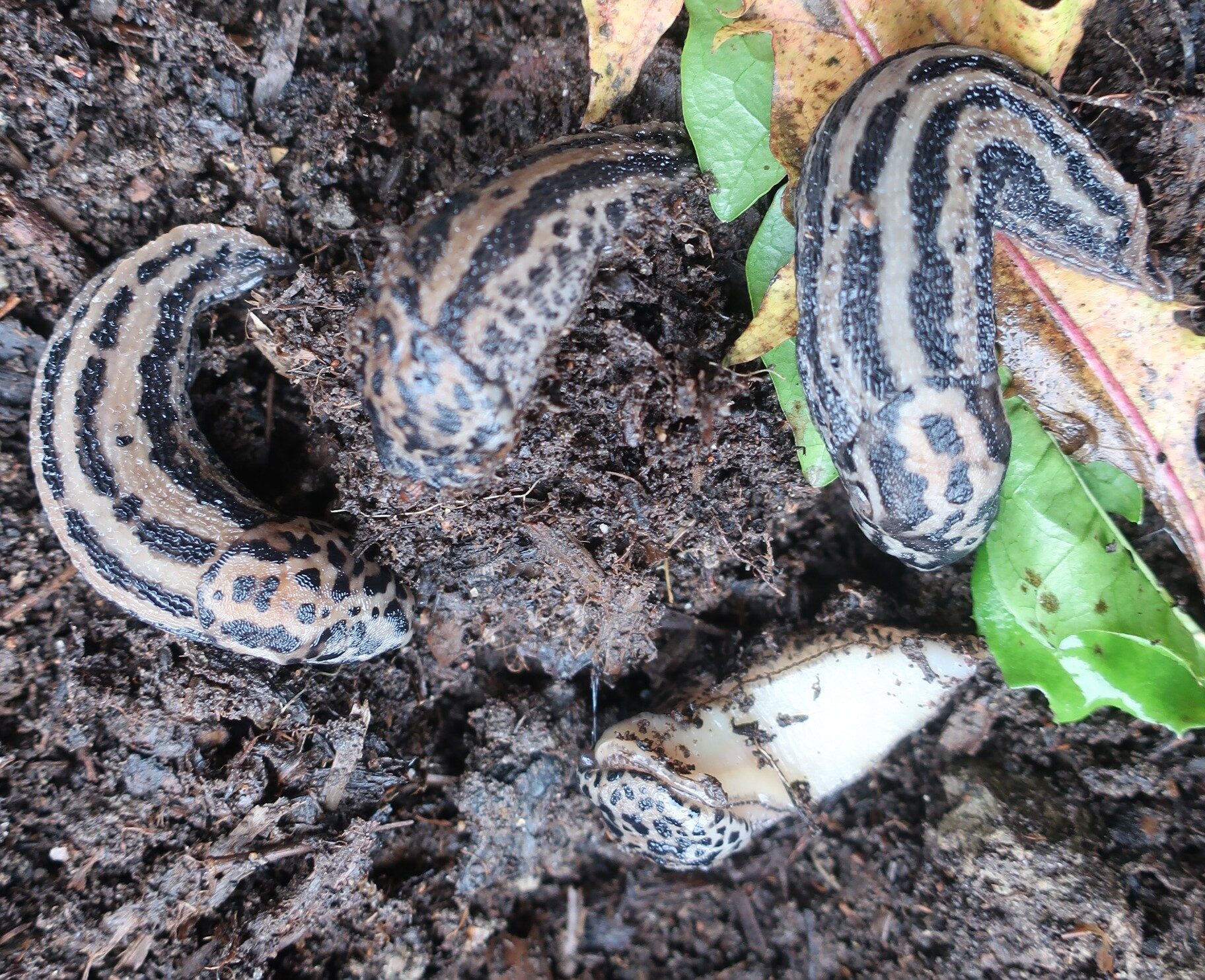 Valokuvaaja: Arja Pohto