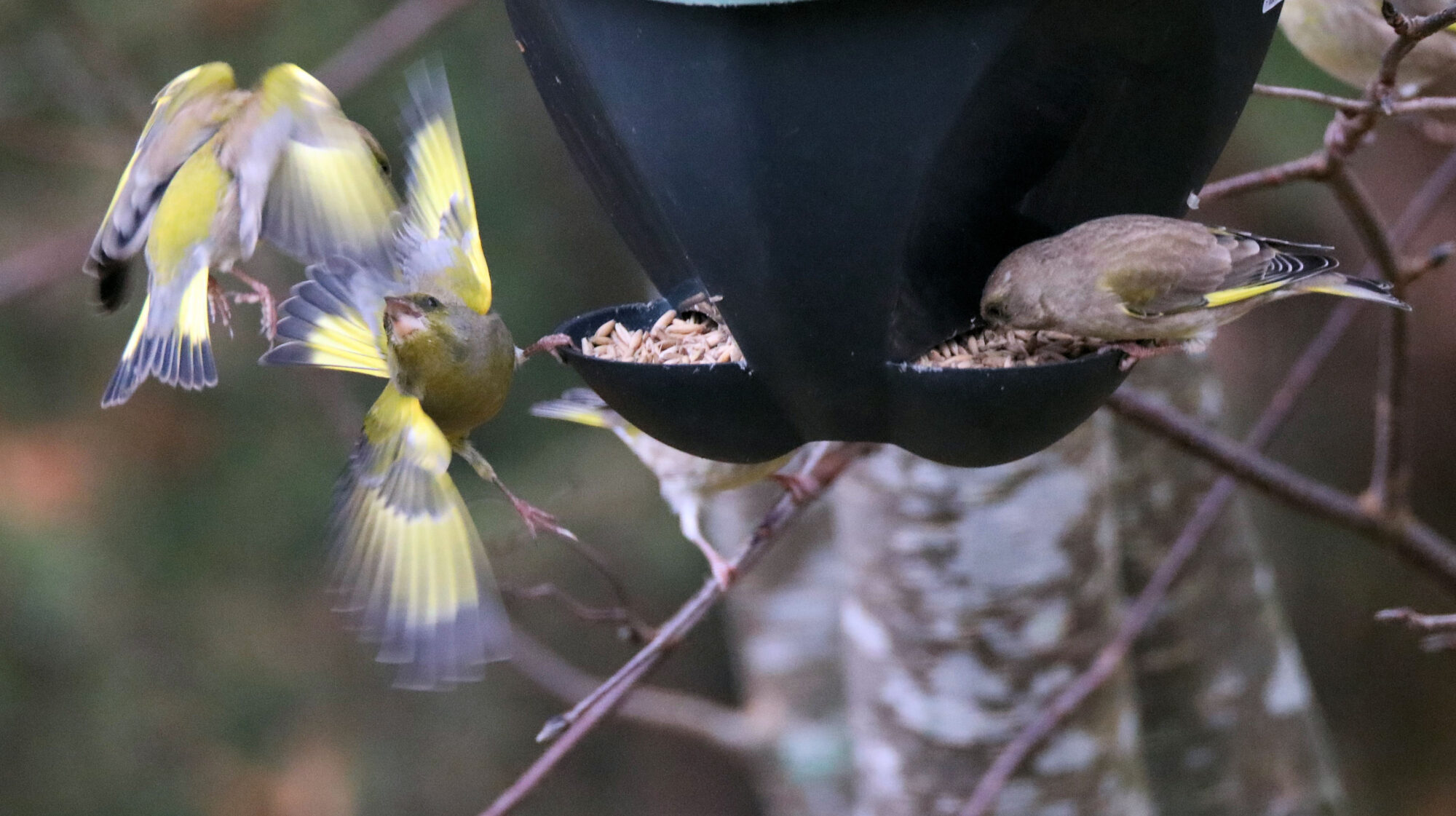 Valokuvaaja: Ahti Keränen