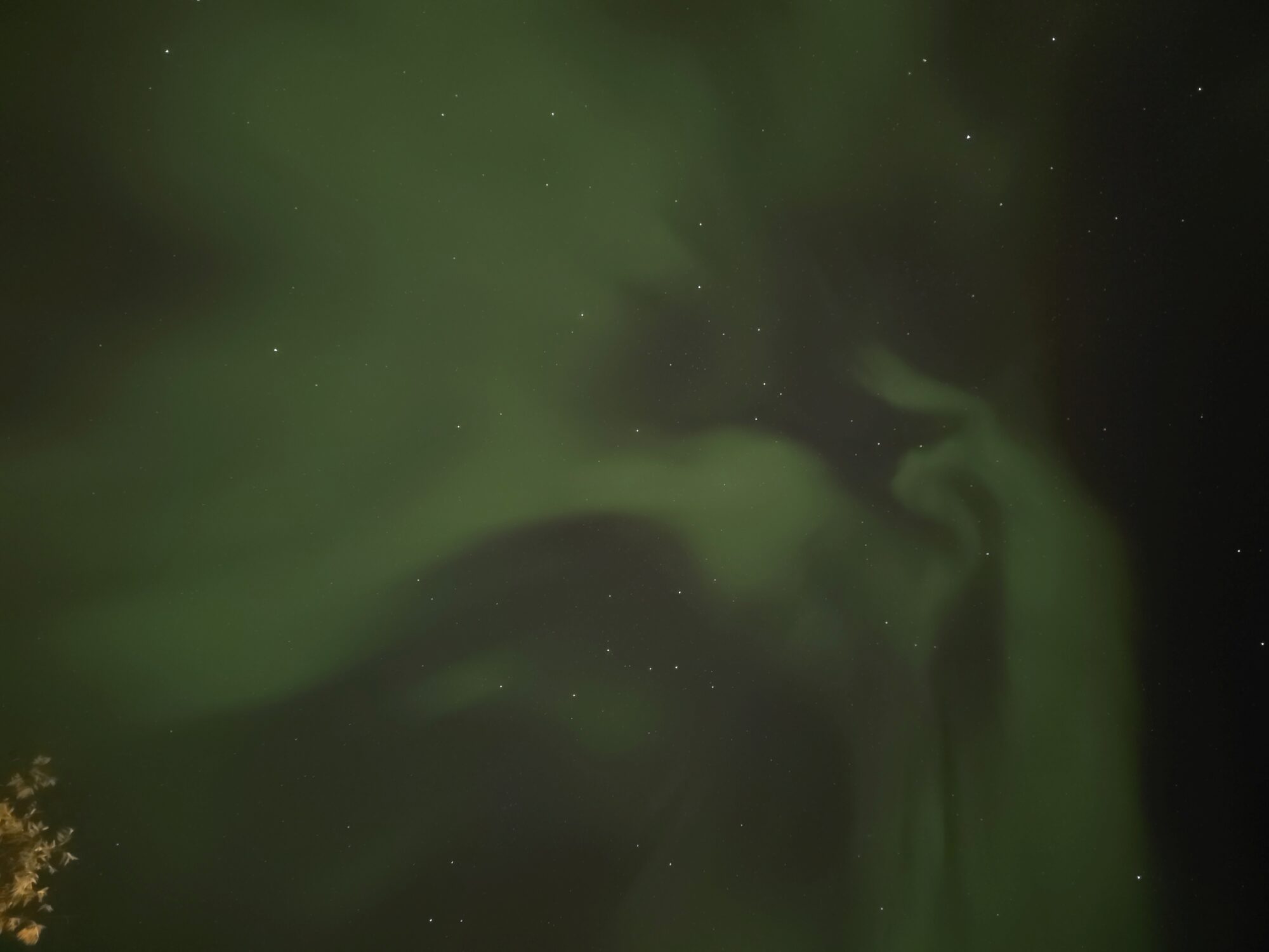 Valokuvaaja: Jaana Saarelainen