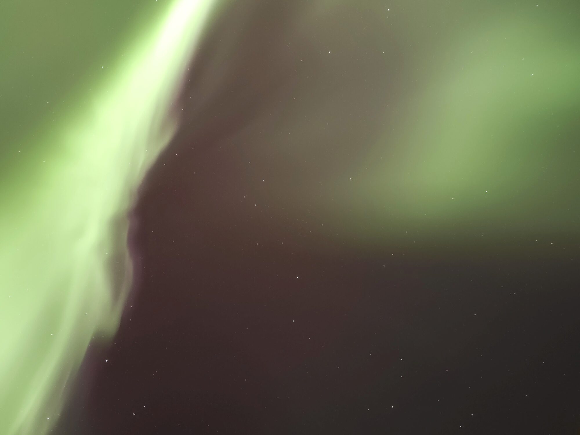 Valokuvaaja: Jaana Saarelainen