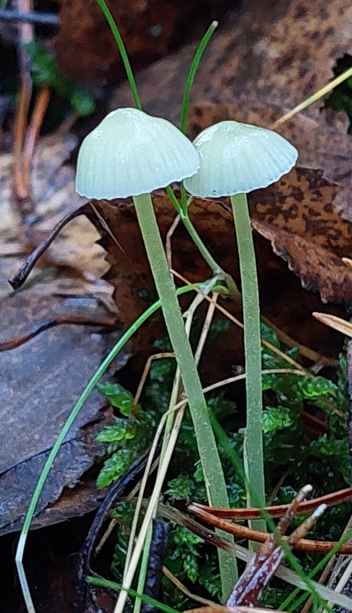 Valokuvaaja: Tarja Naukkarinen