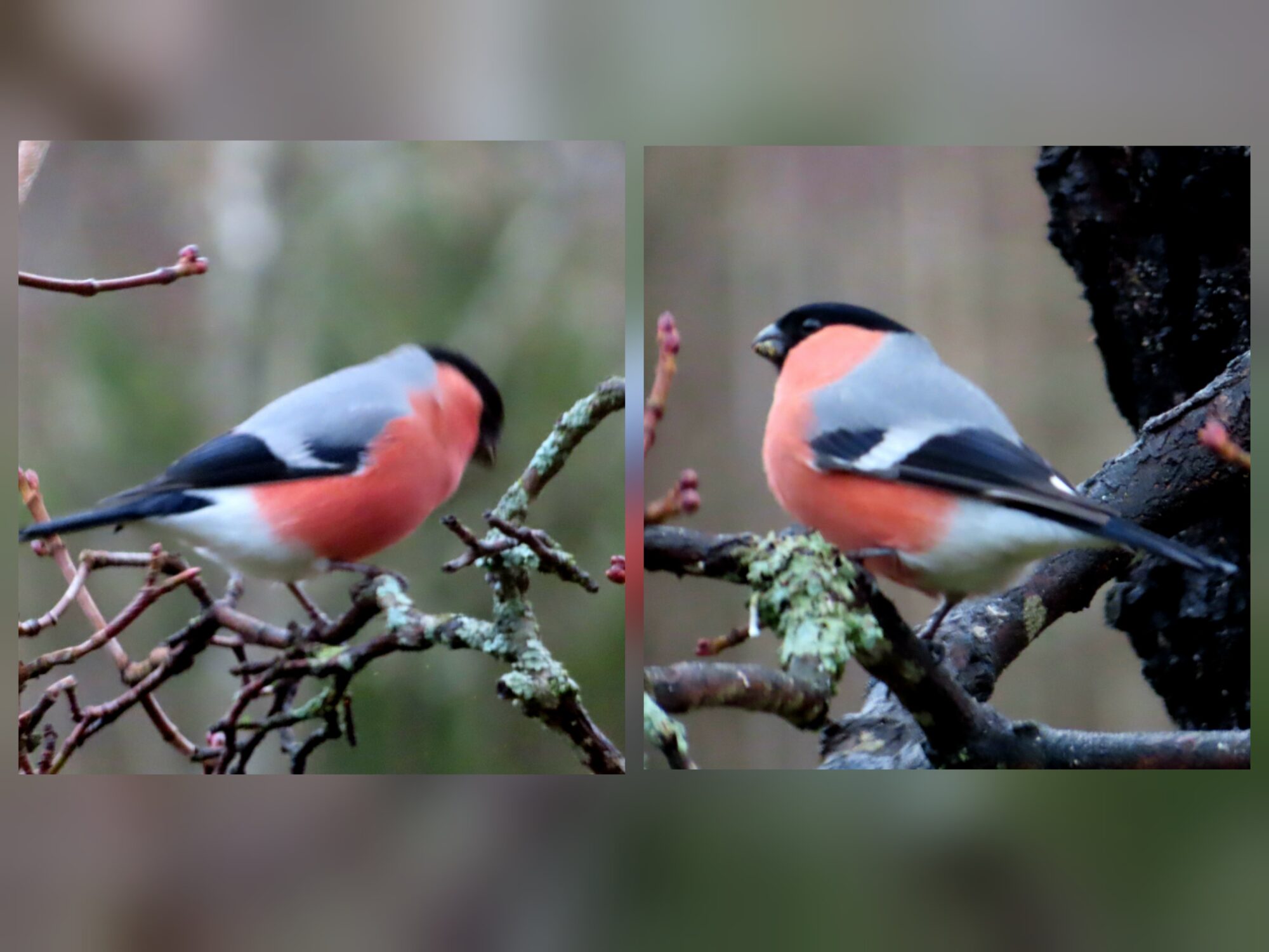 Valokuvaaja: Soili Jalava