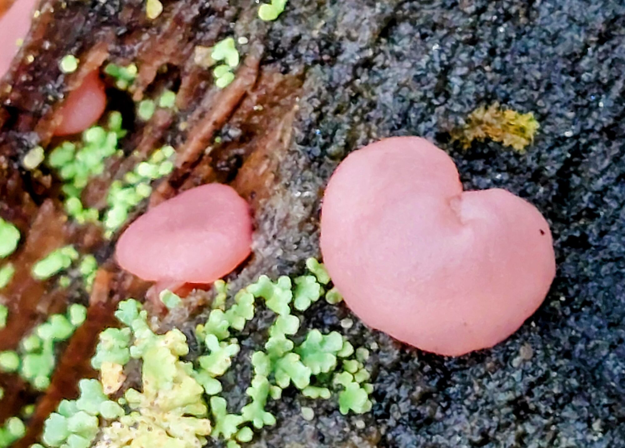 Valokuvaaja: Tarja Naukkarinen