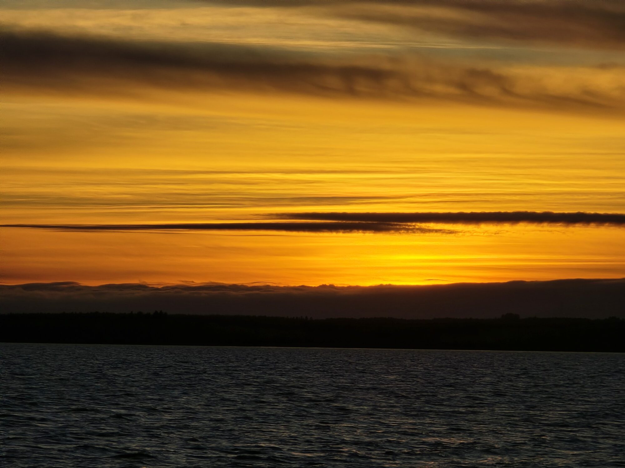 Valokuvaaja: Jaana Saarelainen