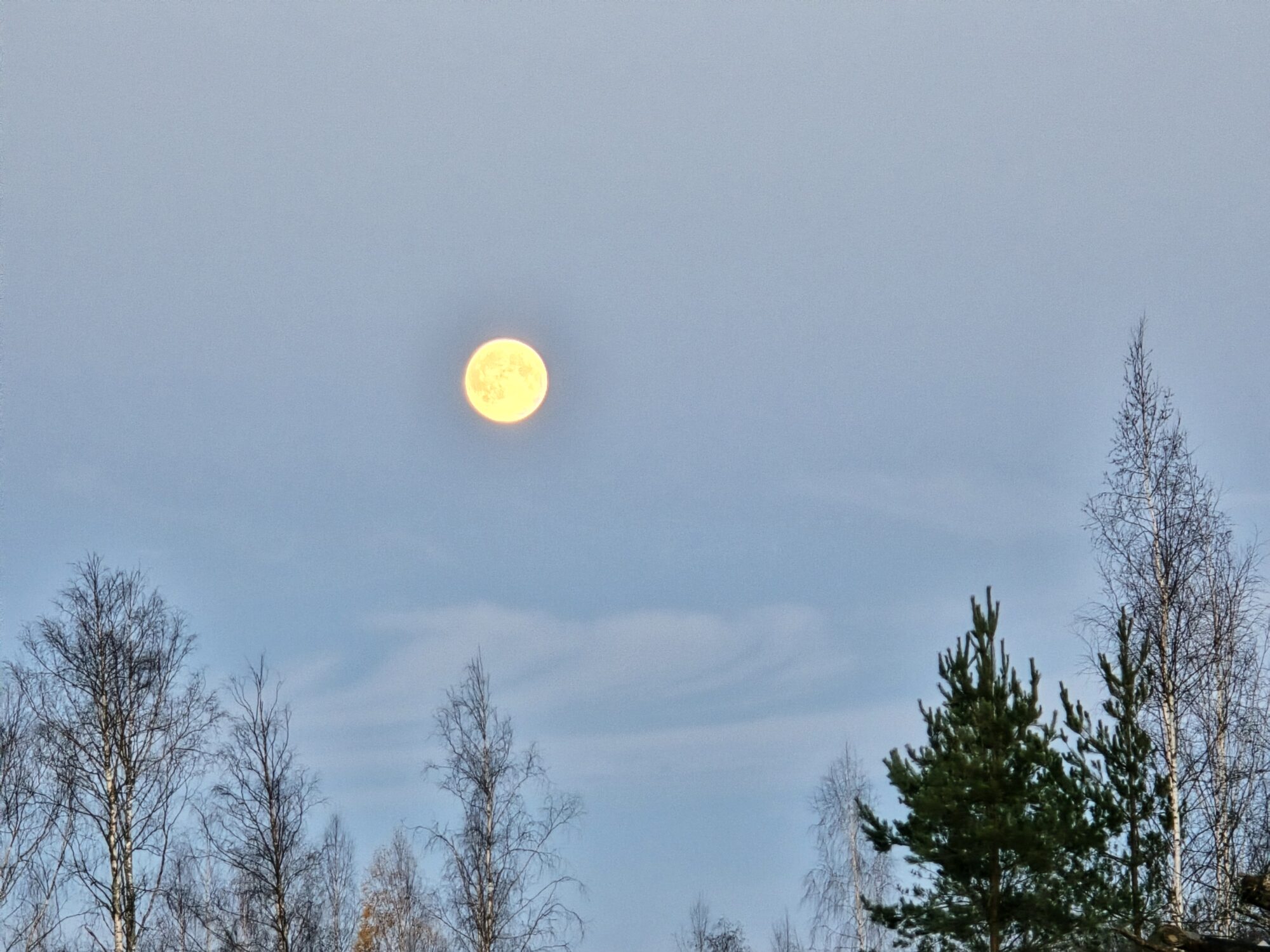 Valokuvaaja: Jaana Saarelainen