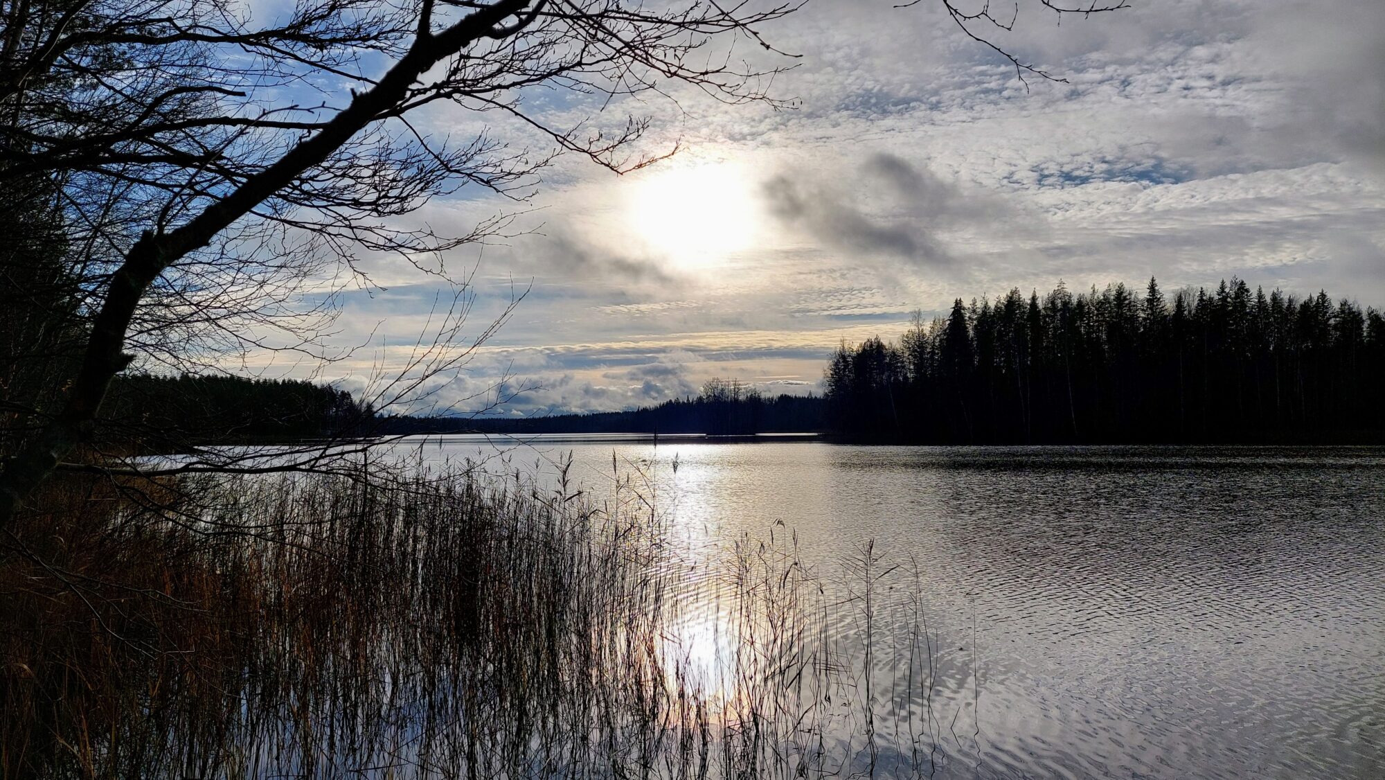 Valokuvaaja: Tarja Naukkarinen