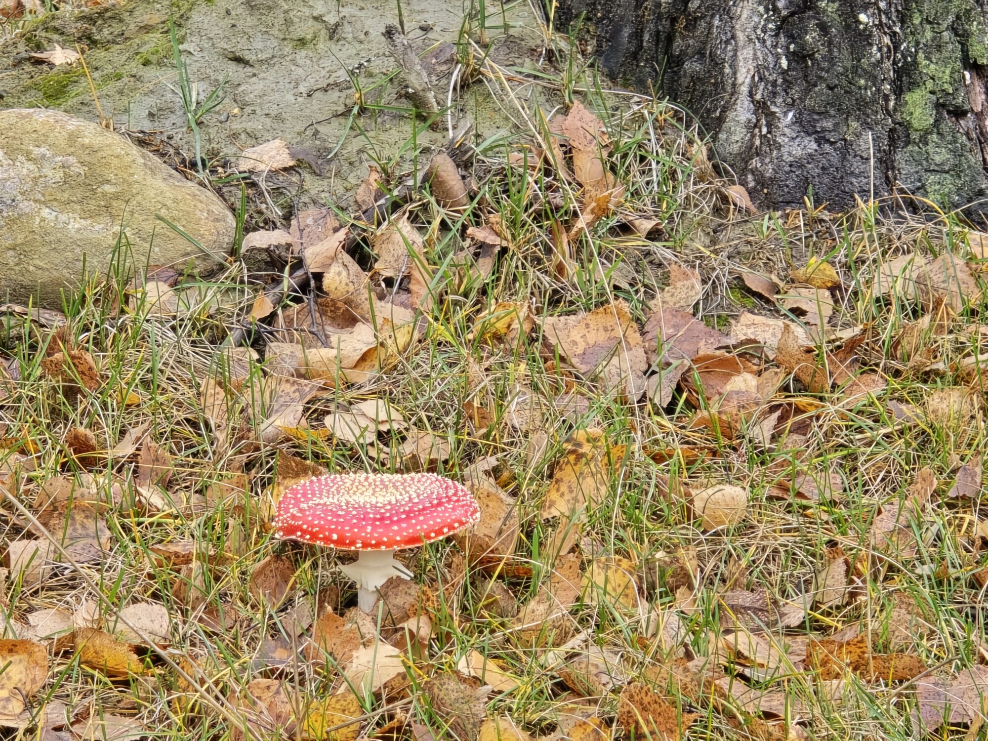 Valokuvaaja: Jaana Saarelainen