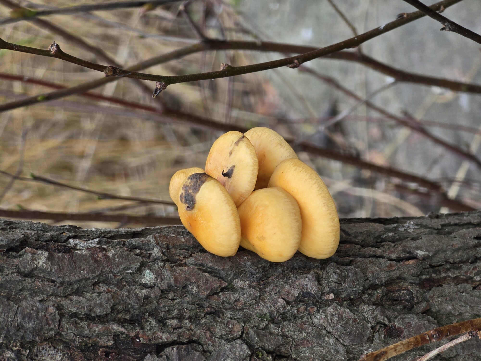 Valokuvaaja: Jaana Saarelainen